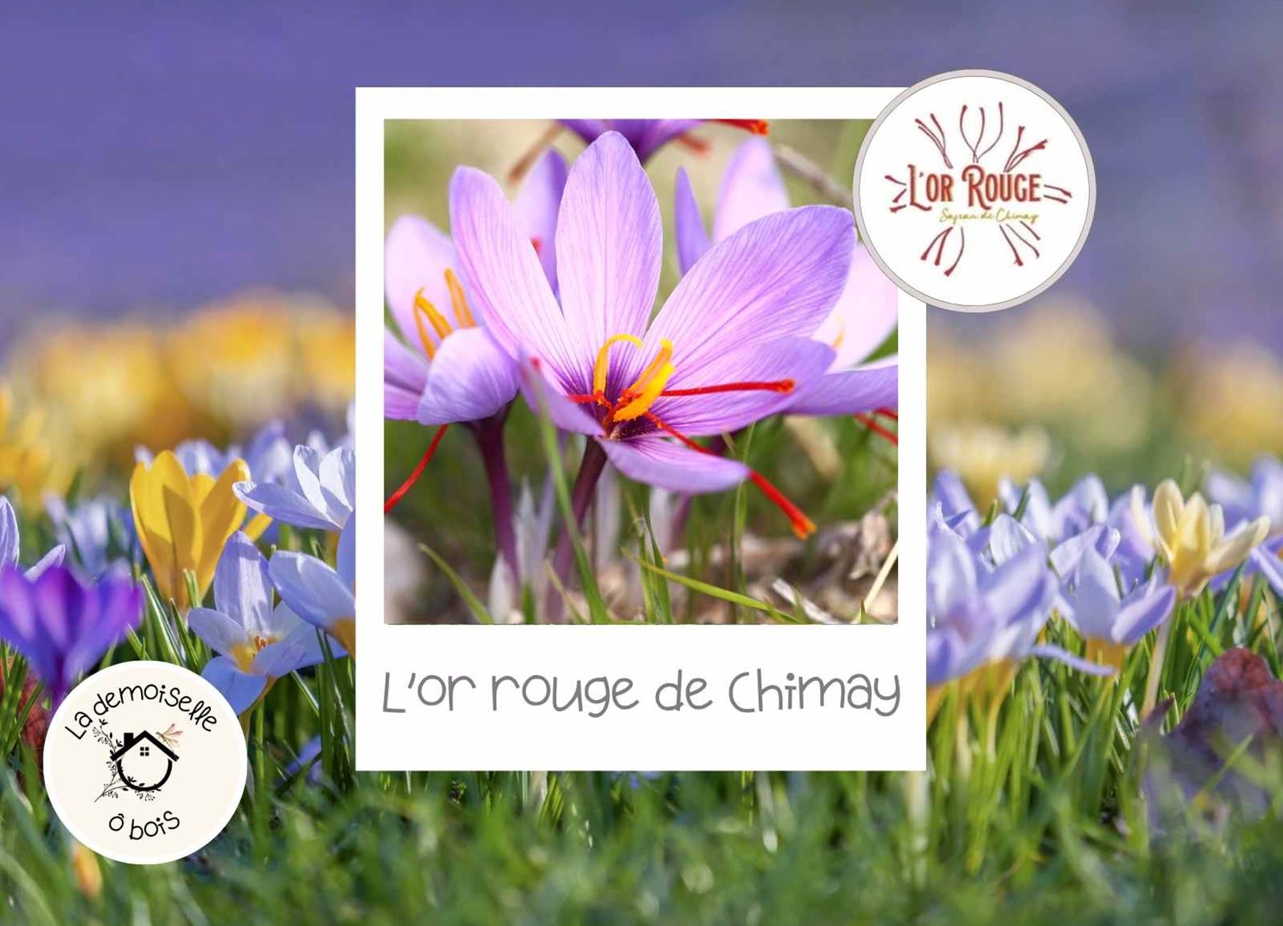 L'or rouge de Chimay