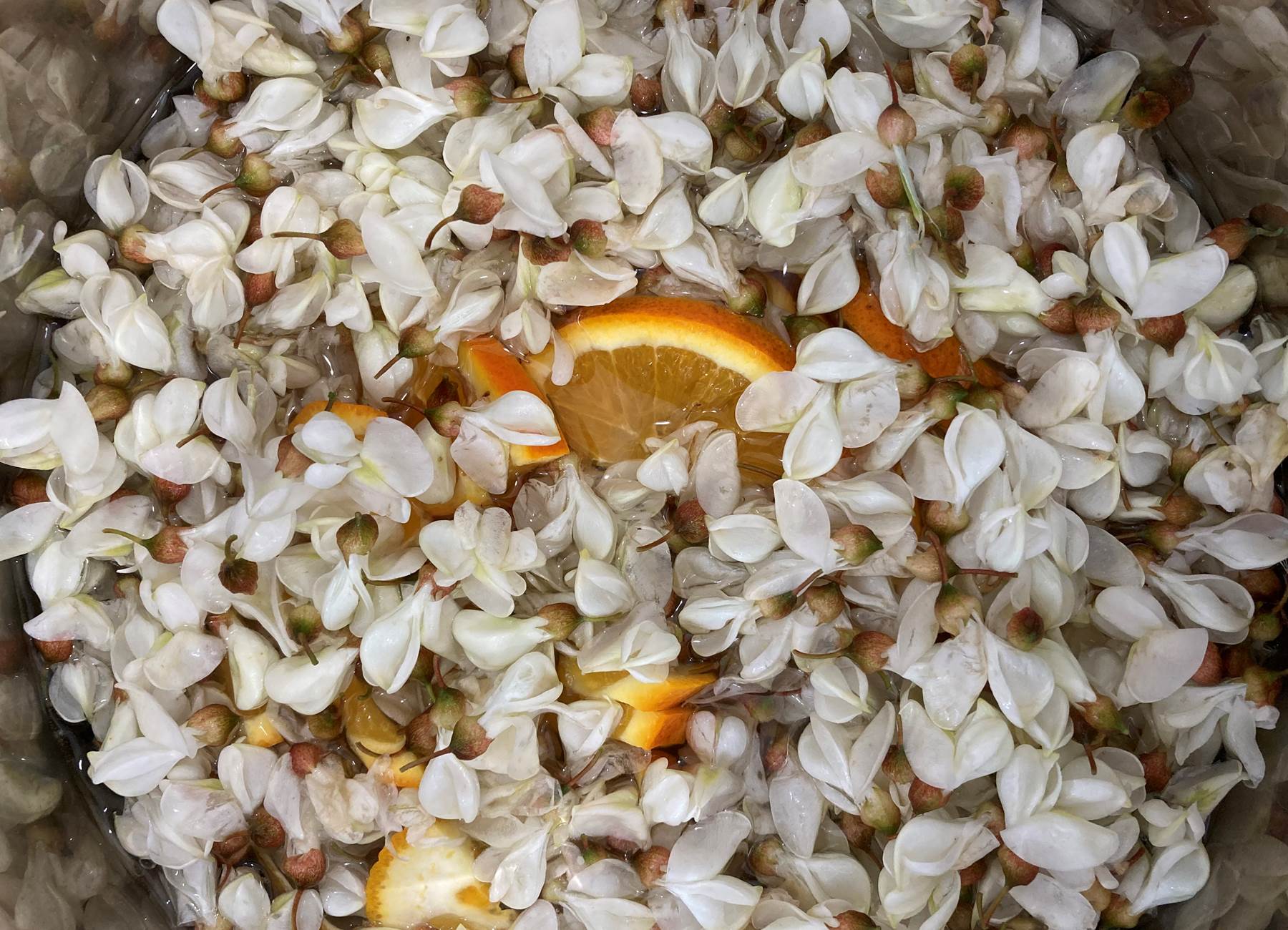 préparation gelée d'acacia