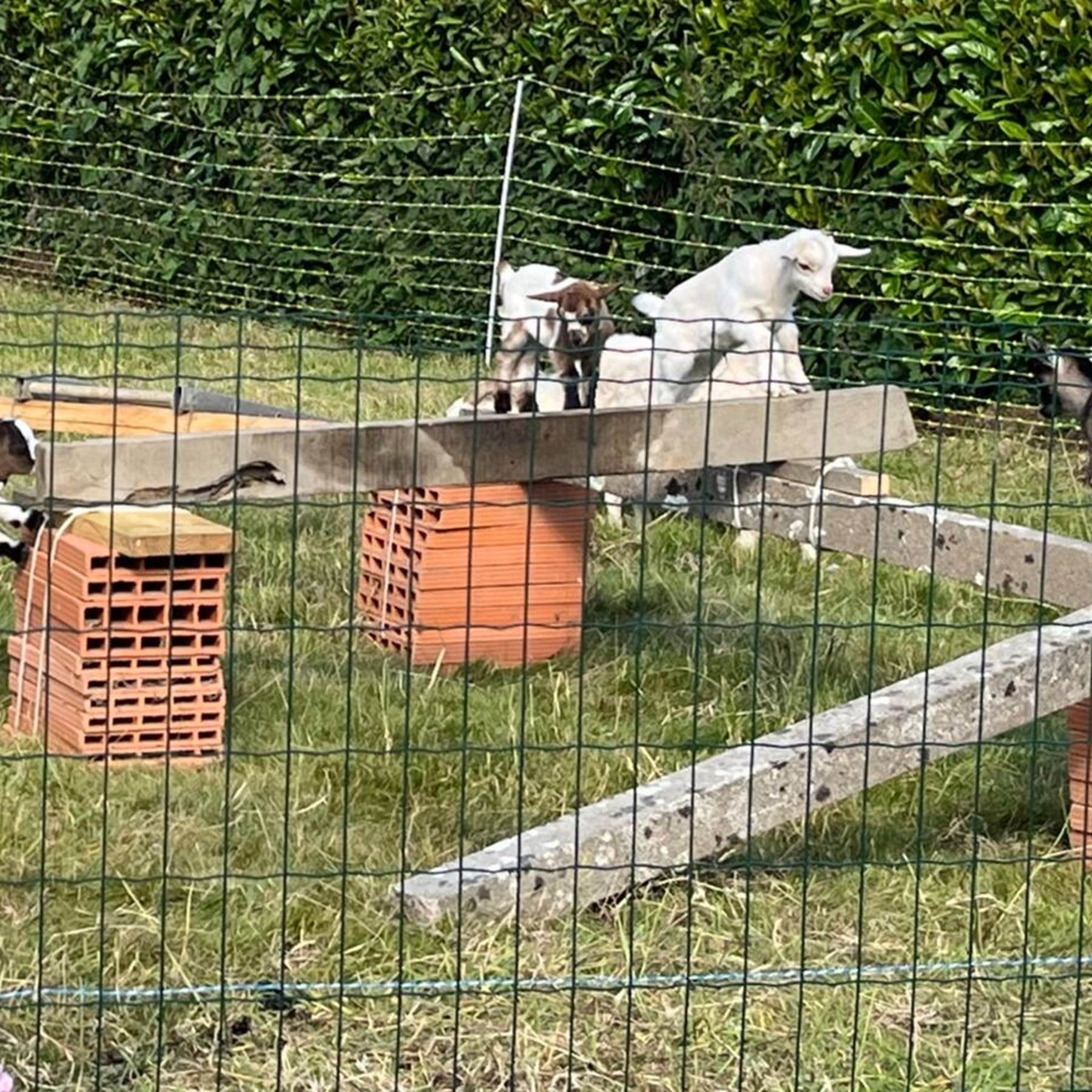 6b64a729-7a8f-41da-abc3-333bd35c8f2e 2-galerie