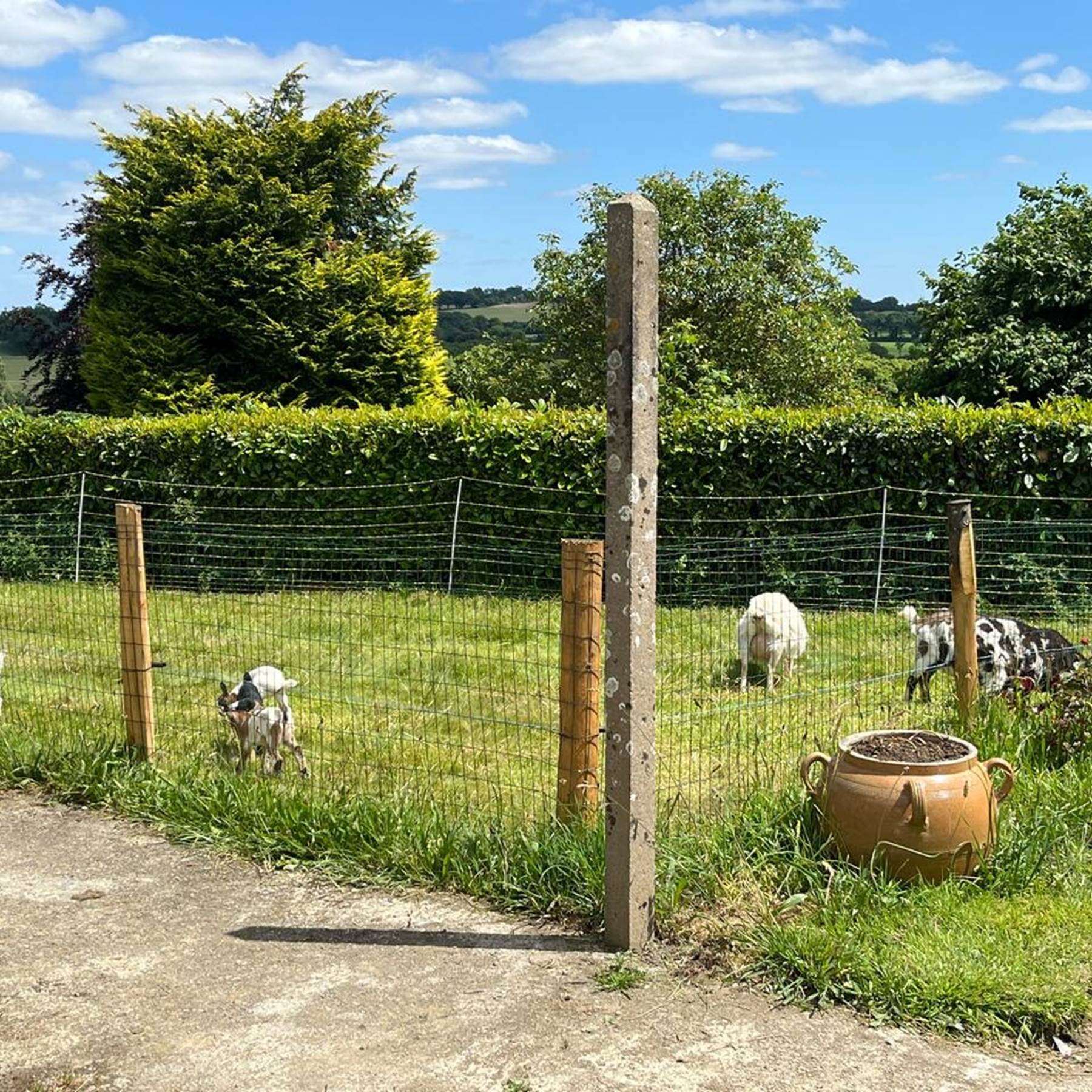 77d7ad28-af9e-48cb-96f3-d53c5fbb892a 2-galerie