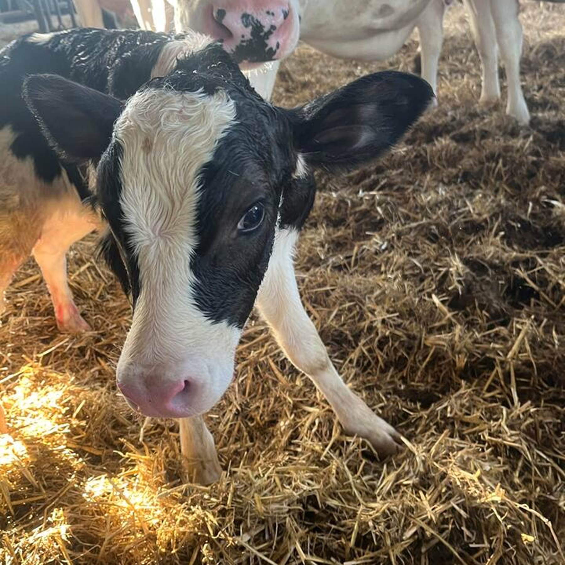 c3ef6c8f-4677-4001-ae9d-716868cbc755 2-galerie