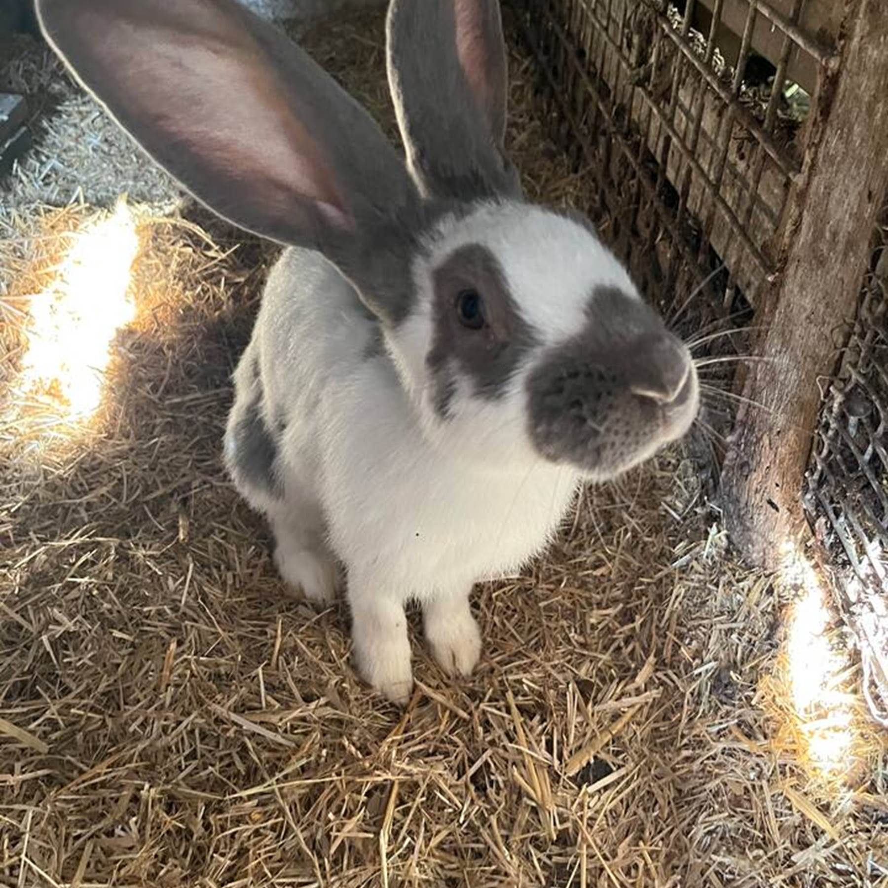 4ef0a0b1-a22c-49f0-90eb-0574a2a394bf 2-galerie