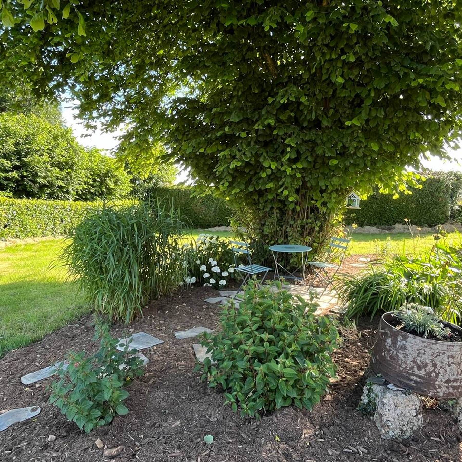 30703351-c3b3-44a5-8531-5a2d42ec6f44 2-galerie