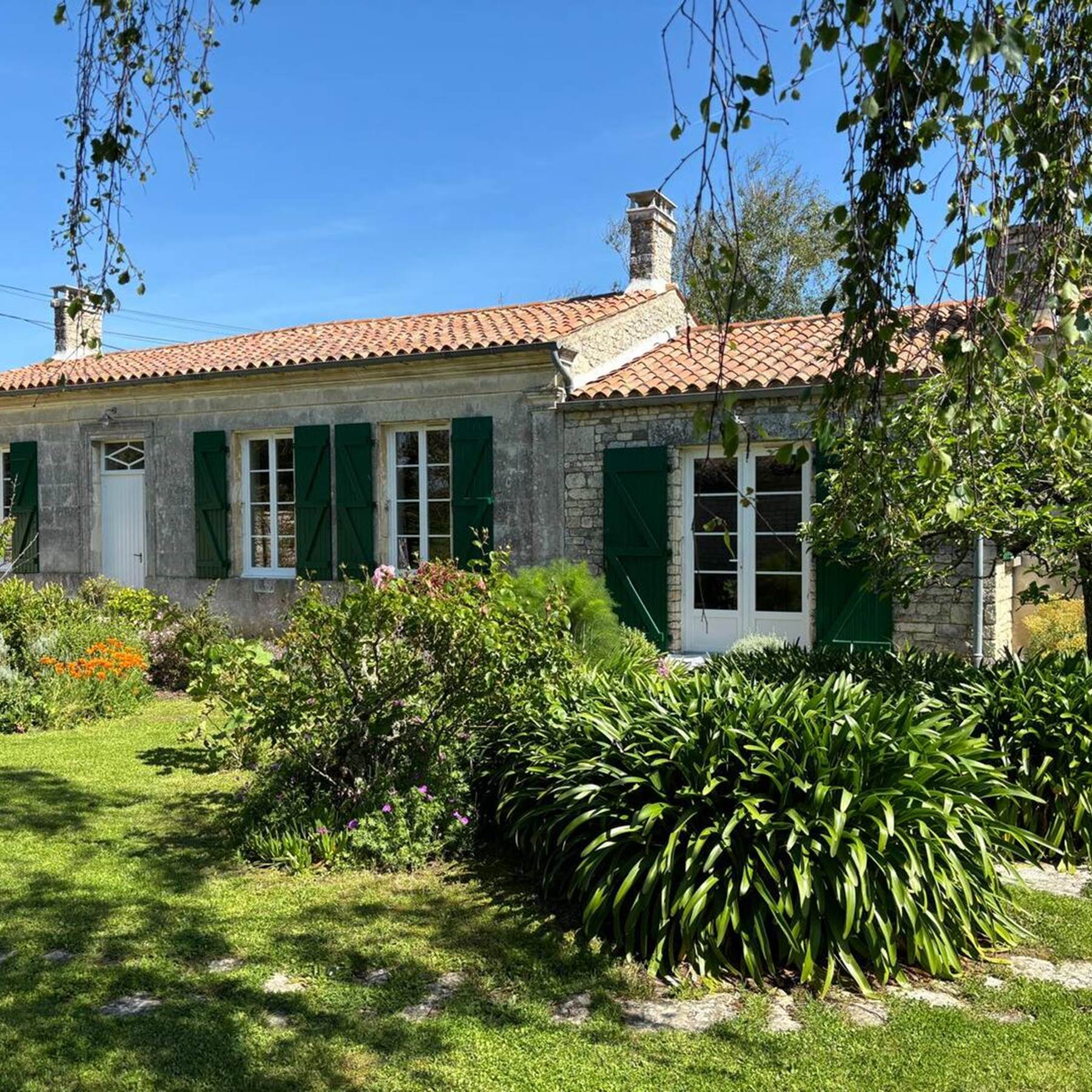 6525c7cb-3e61-4896-82e2-96330a8d1680-galerie