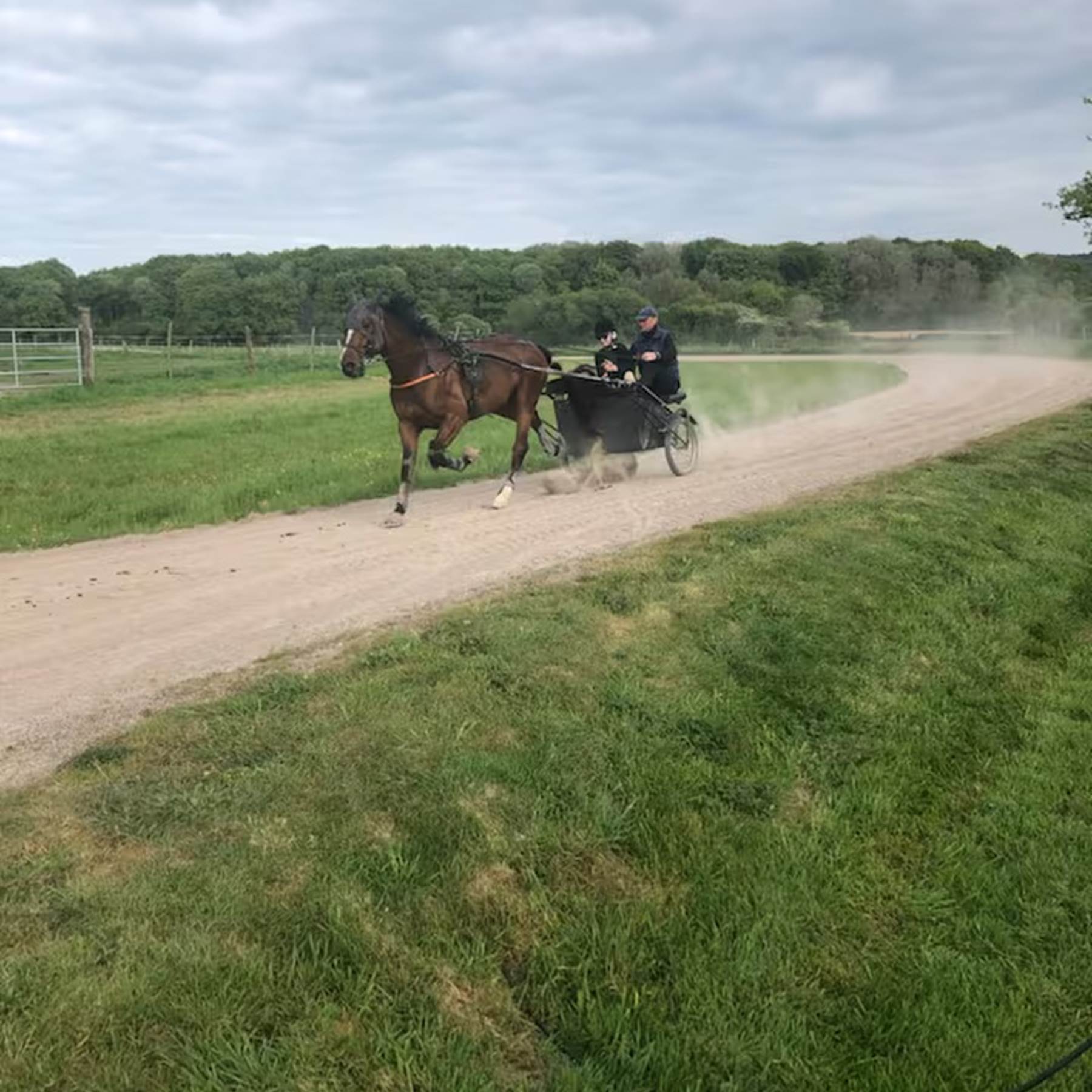 aa9d23d7-d36b-49e7-805a-6953520779cf-galerie