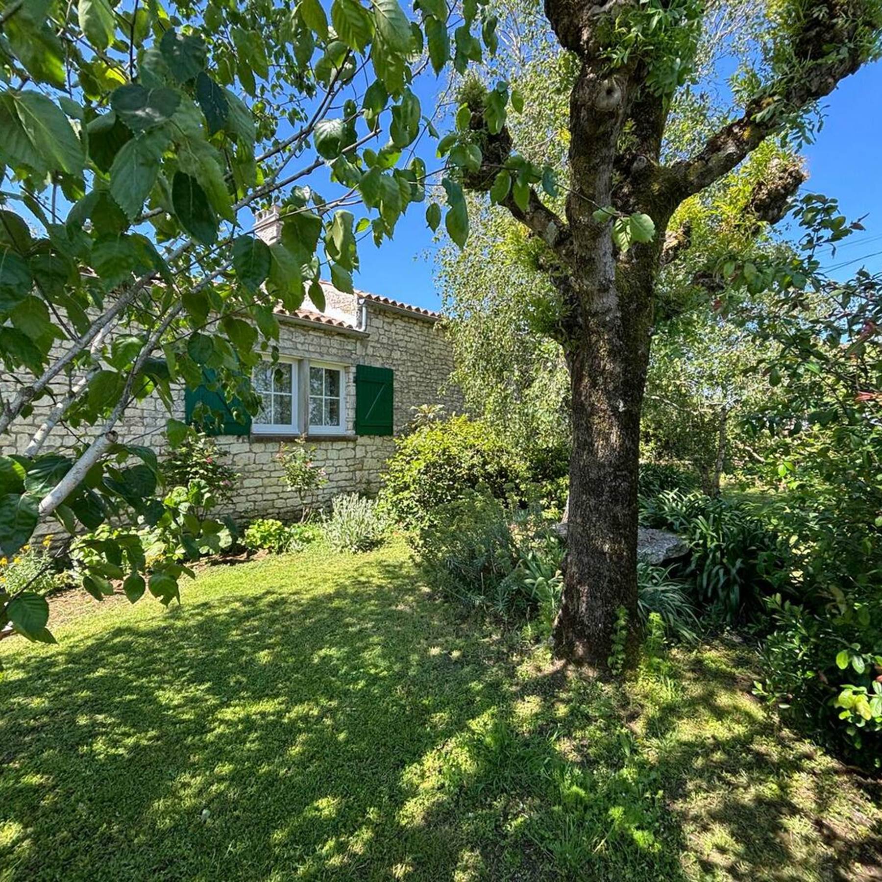 0e91a72a-77b1-409d-b74e-076ed766acac-galerie