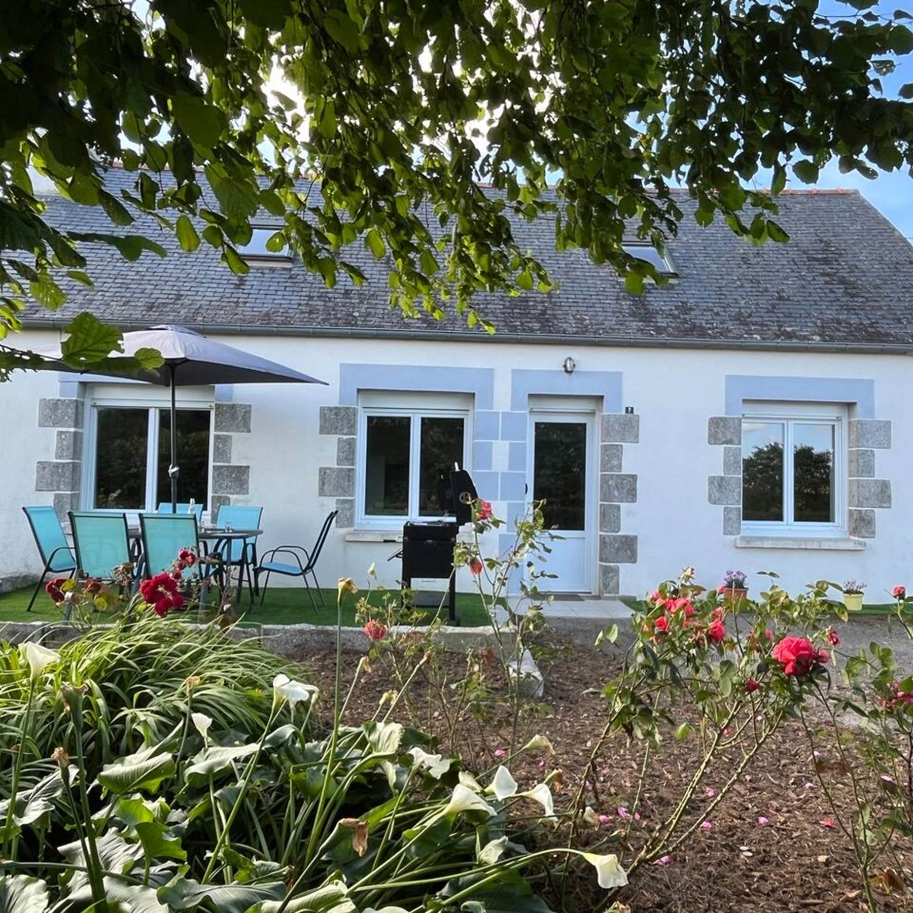 471de1e4-a358-4e96-94c7-58372aa5b69b 2-galerie