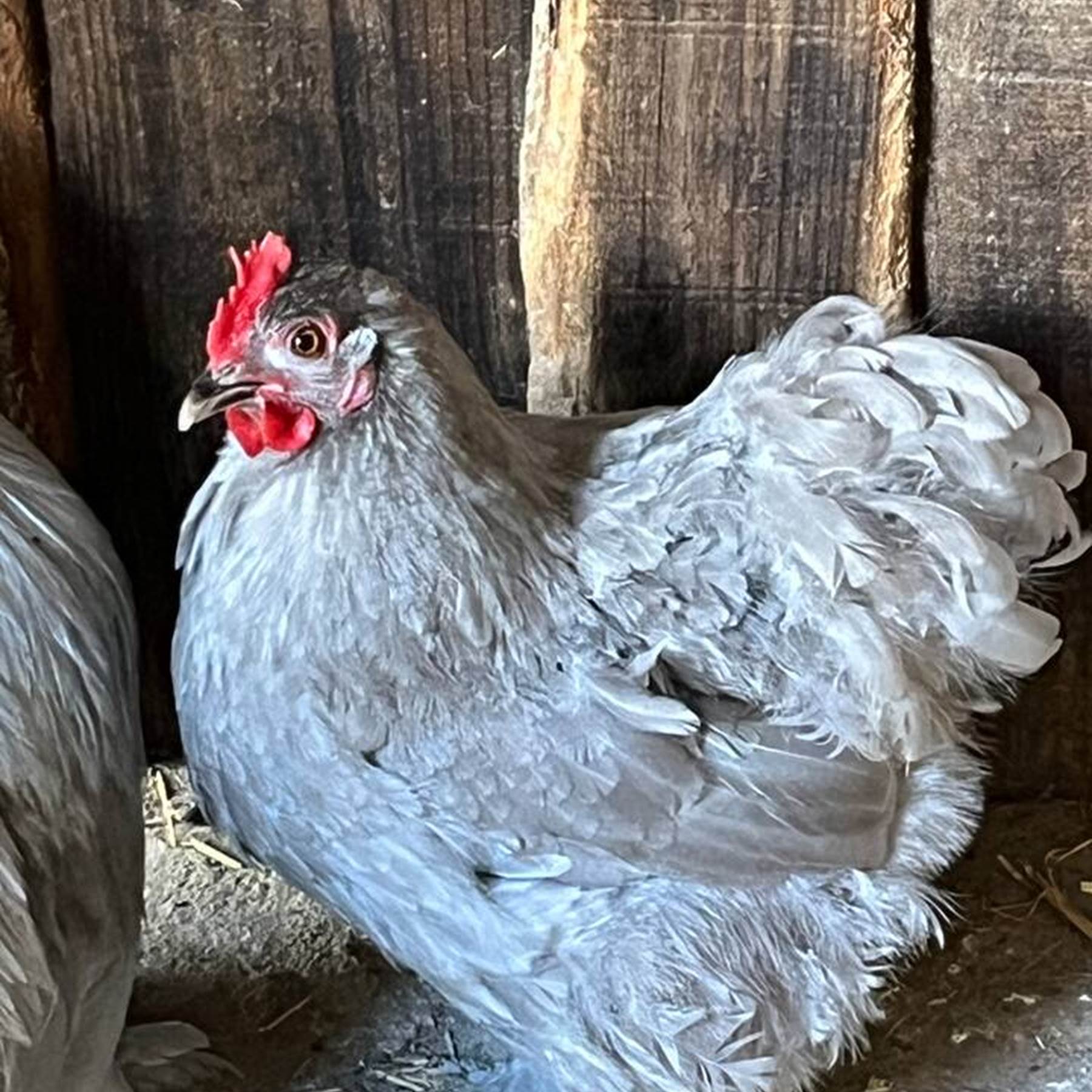 1a7cc8e2-7fb4-4c8f-999c-475c6a6e063a 2-galerie