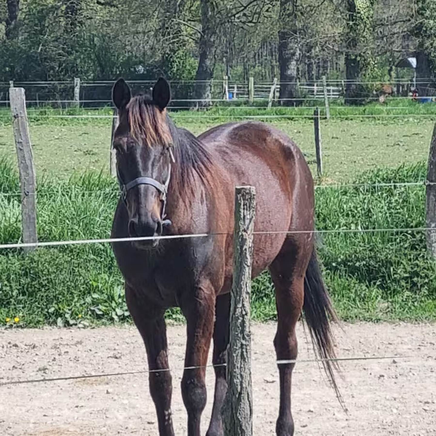 d77d8adf-673d-4af9-8638-722ca4700b51-galerie