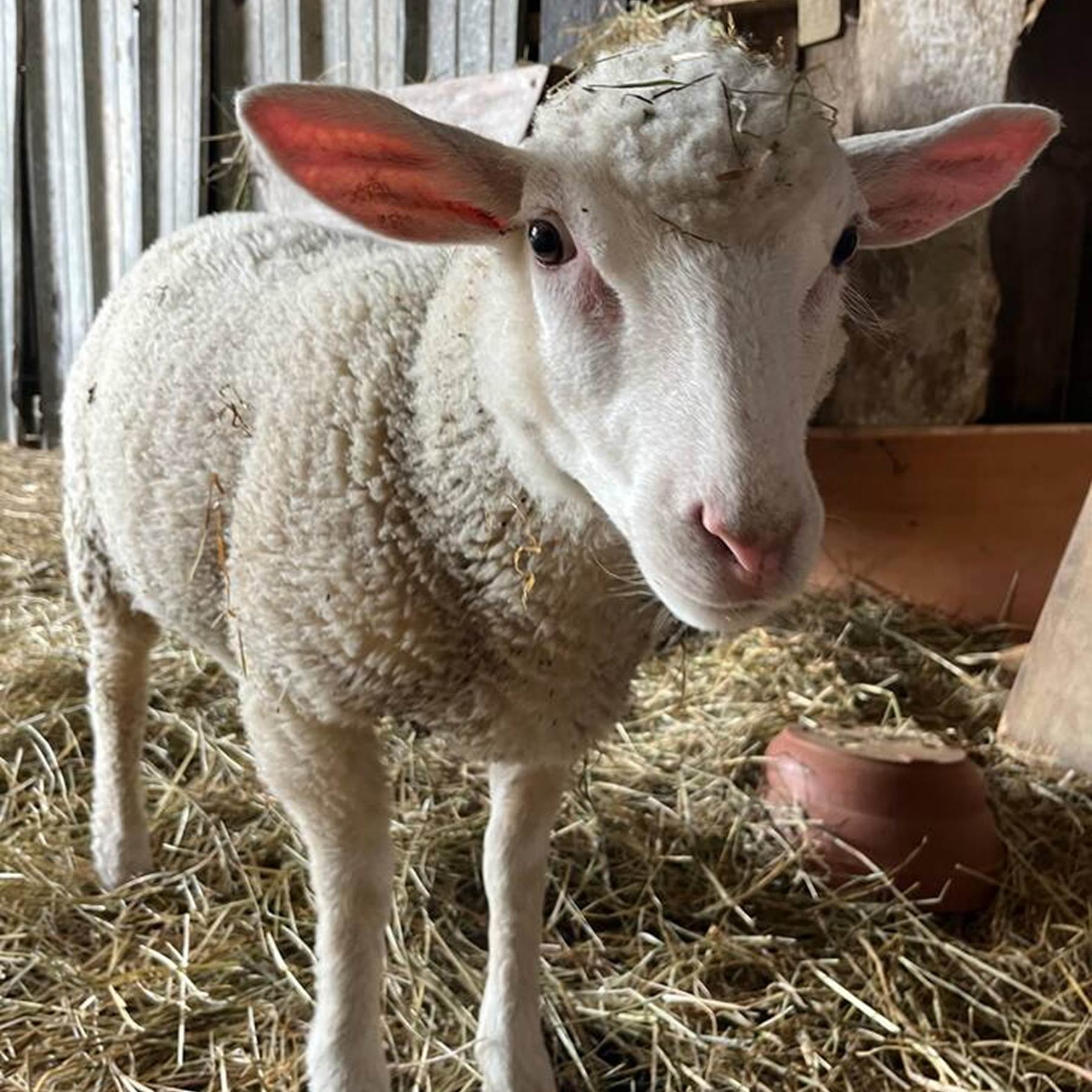 dad98ccd-3acd-4bcf-a7a9-b3b88c7810e2 2-galerie