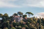 Colline chateau Nice