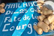 Fête de la Courge à Mailhac