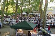 Marchés des Producteurs dans Les Landes