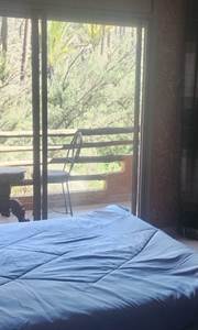 WhatsApp Image 2026-03-11 at 15.53.46 (3)