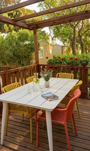 IMG-20260428-WA0006 (1)
