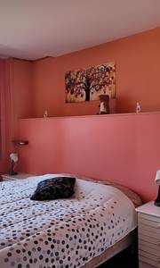 Chambre double avec vue sur les montagnes