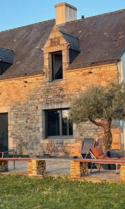 Grande maison de vacances terrasse olivier