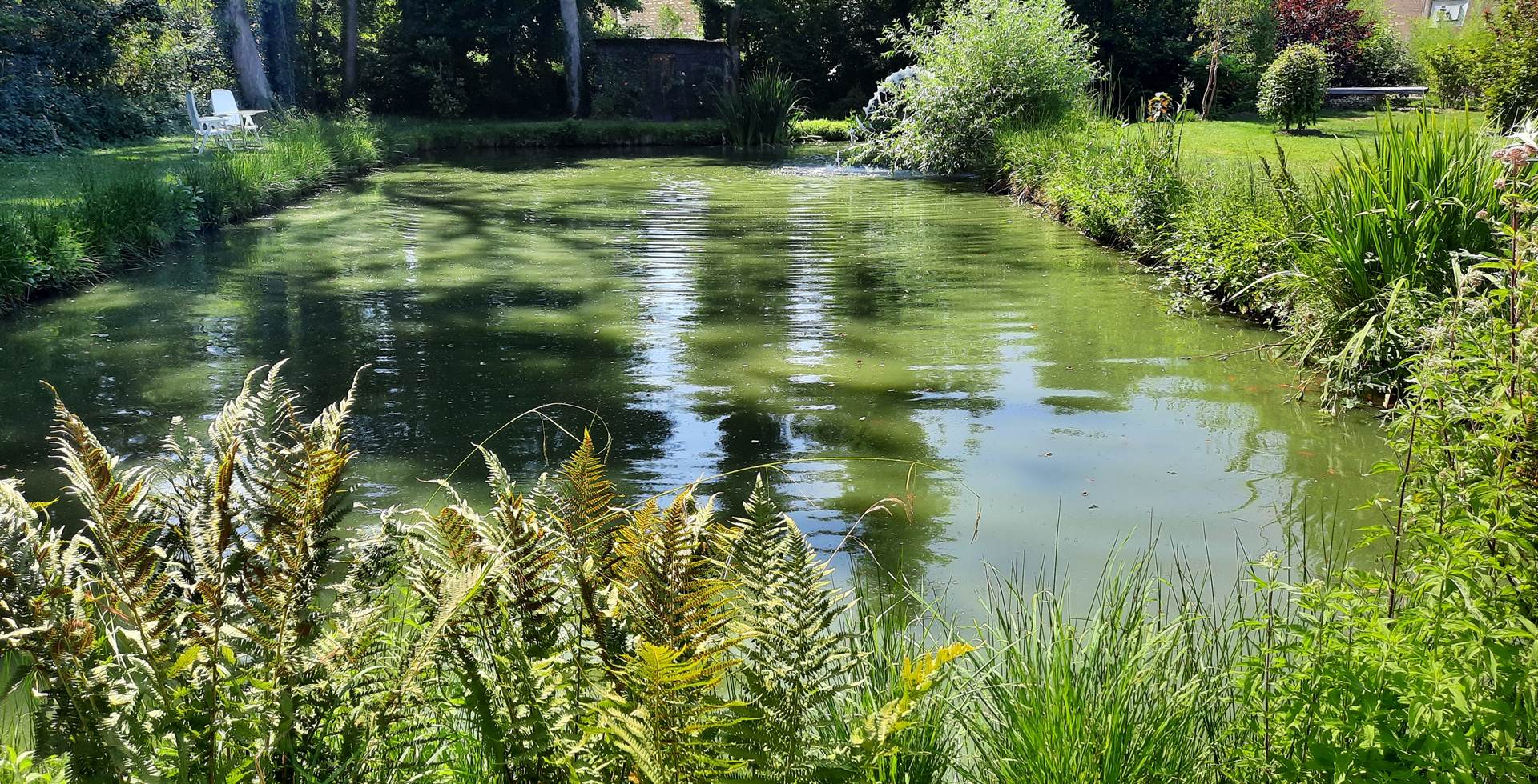 le bassin