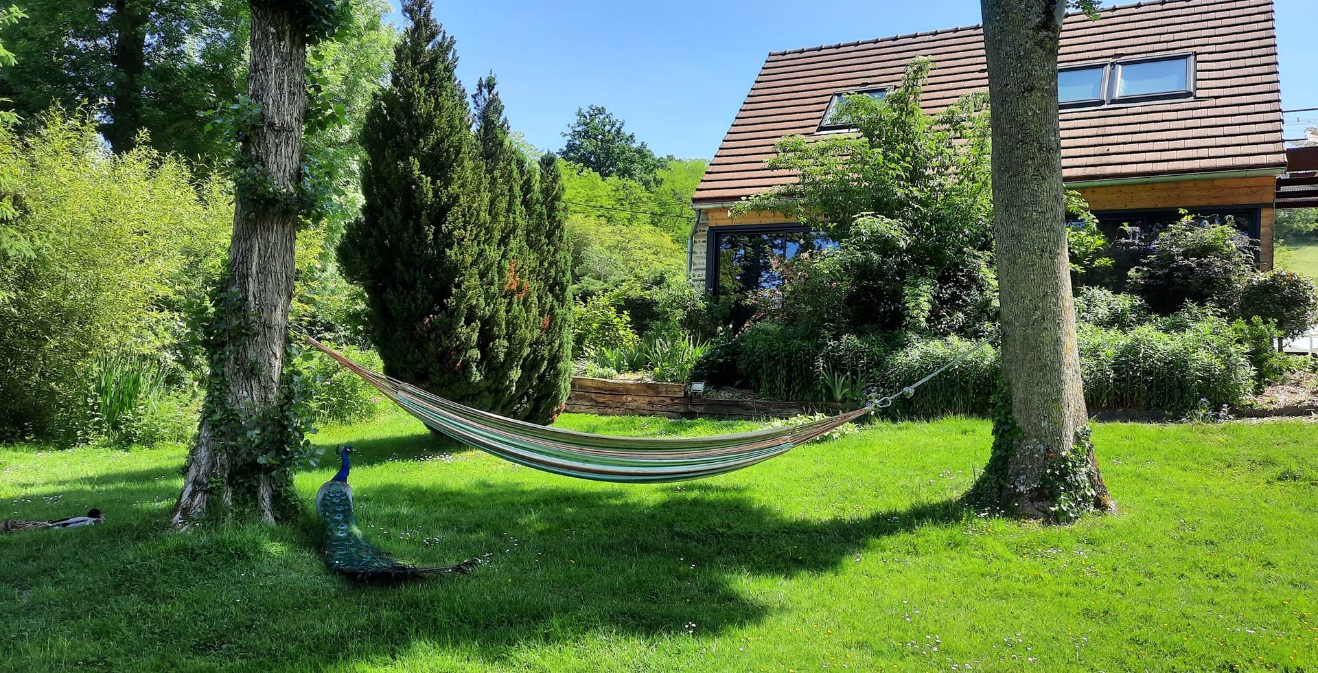 le hamac