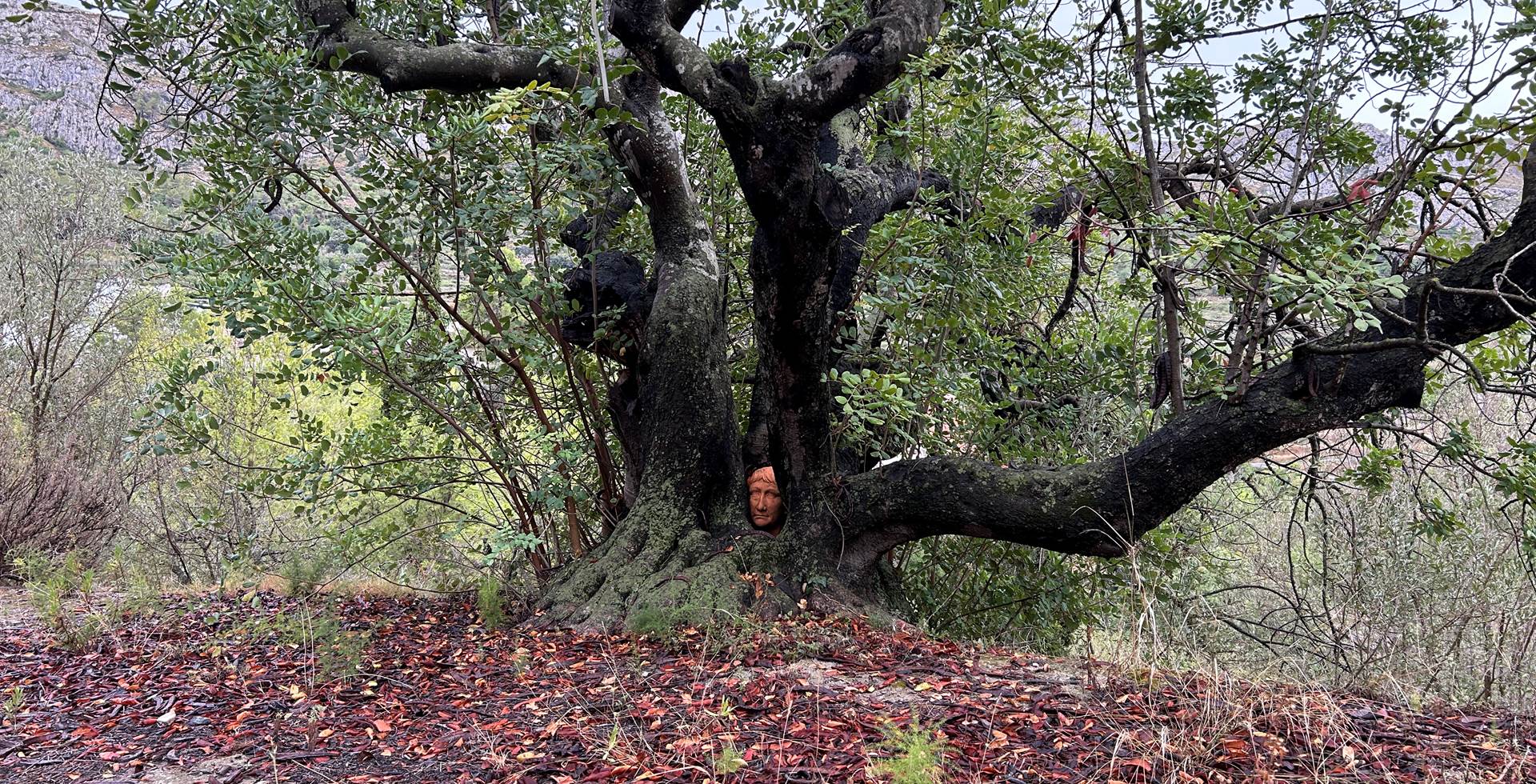 La Cabeza Atrapa