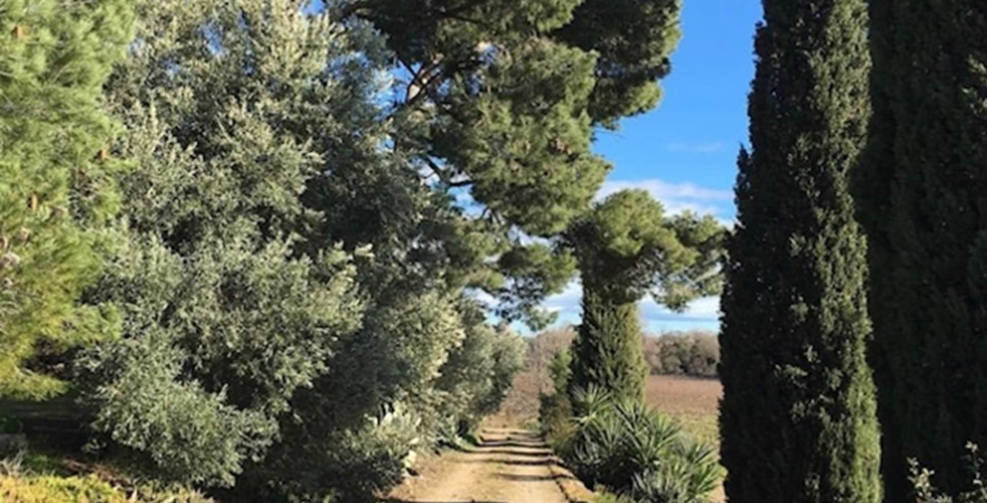 gîte à la campagne
