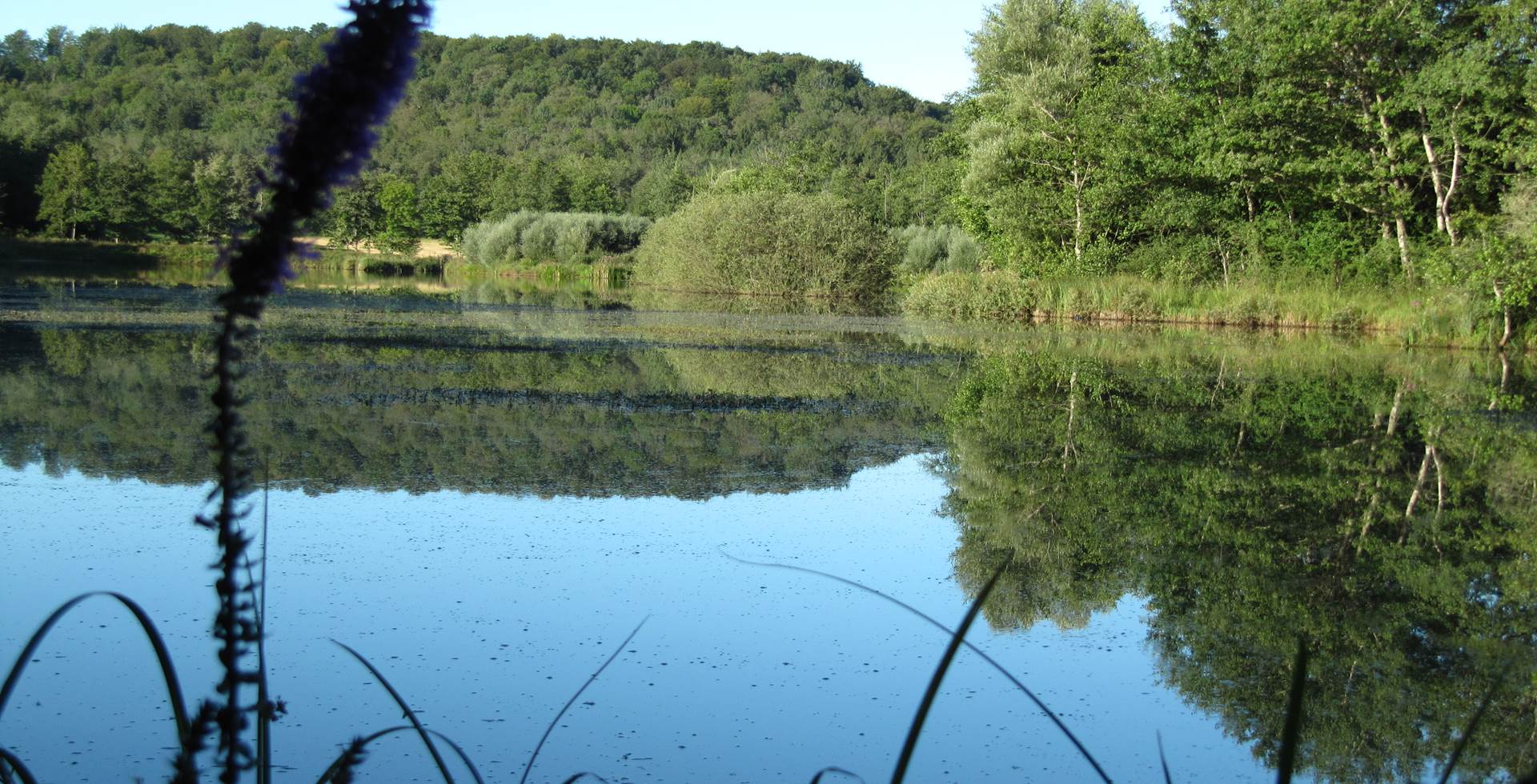 Environnement du Relais des deux tours "Etang du Breuillez"