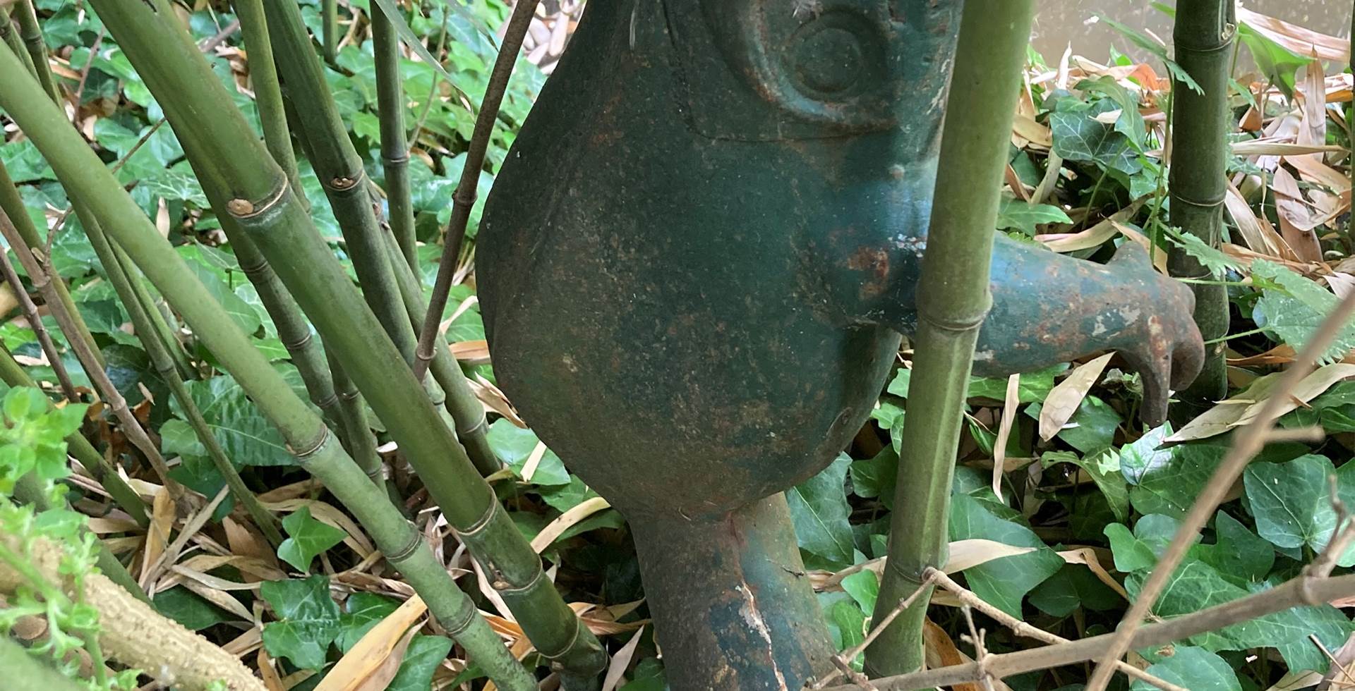 Trouver la grenouille !!!