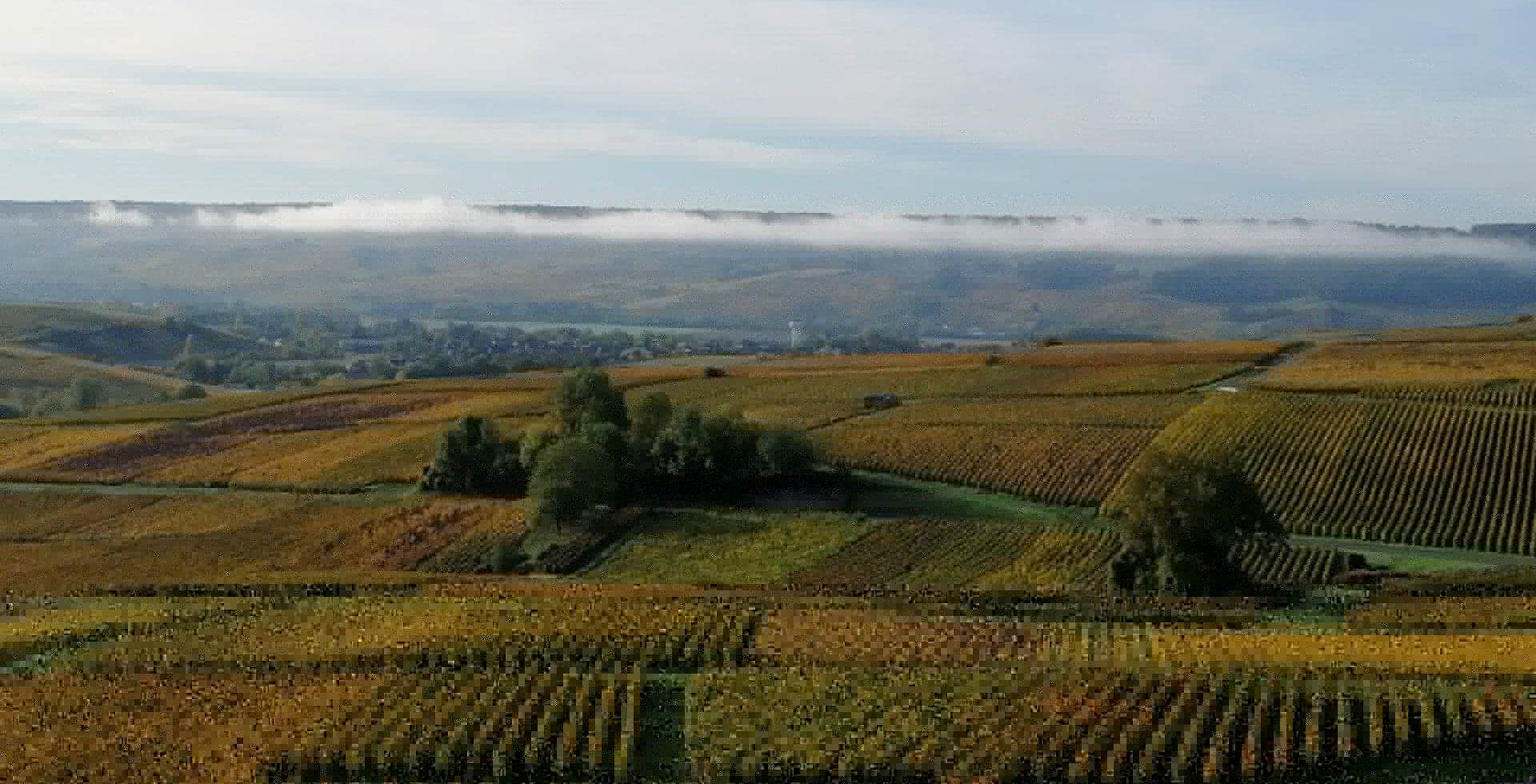 Vue automnale au champagne ARNOULT