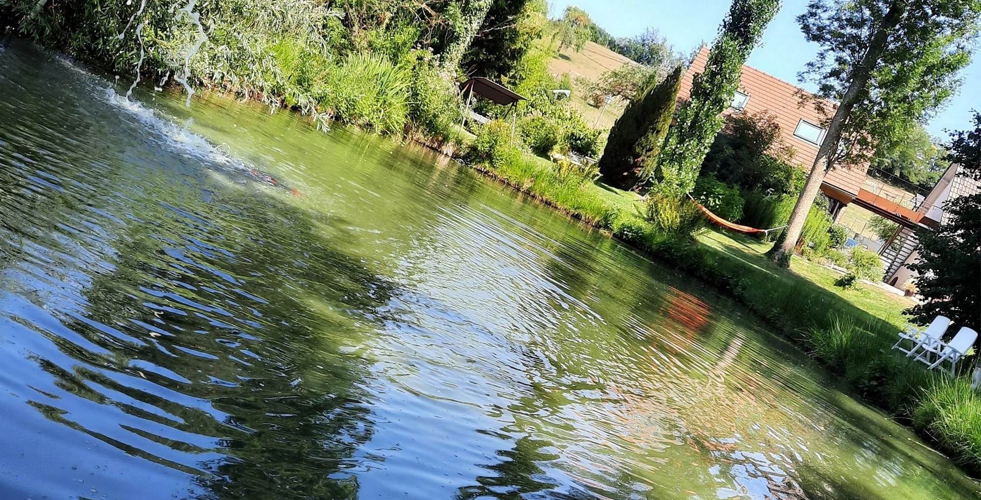 vu du bassin