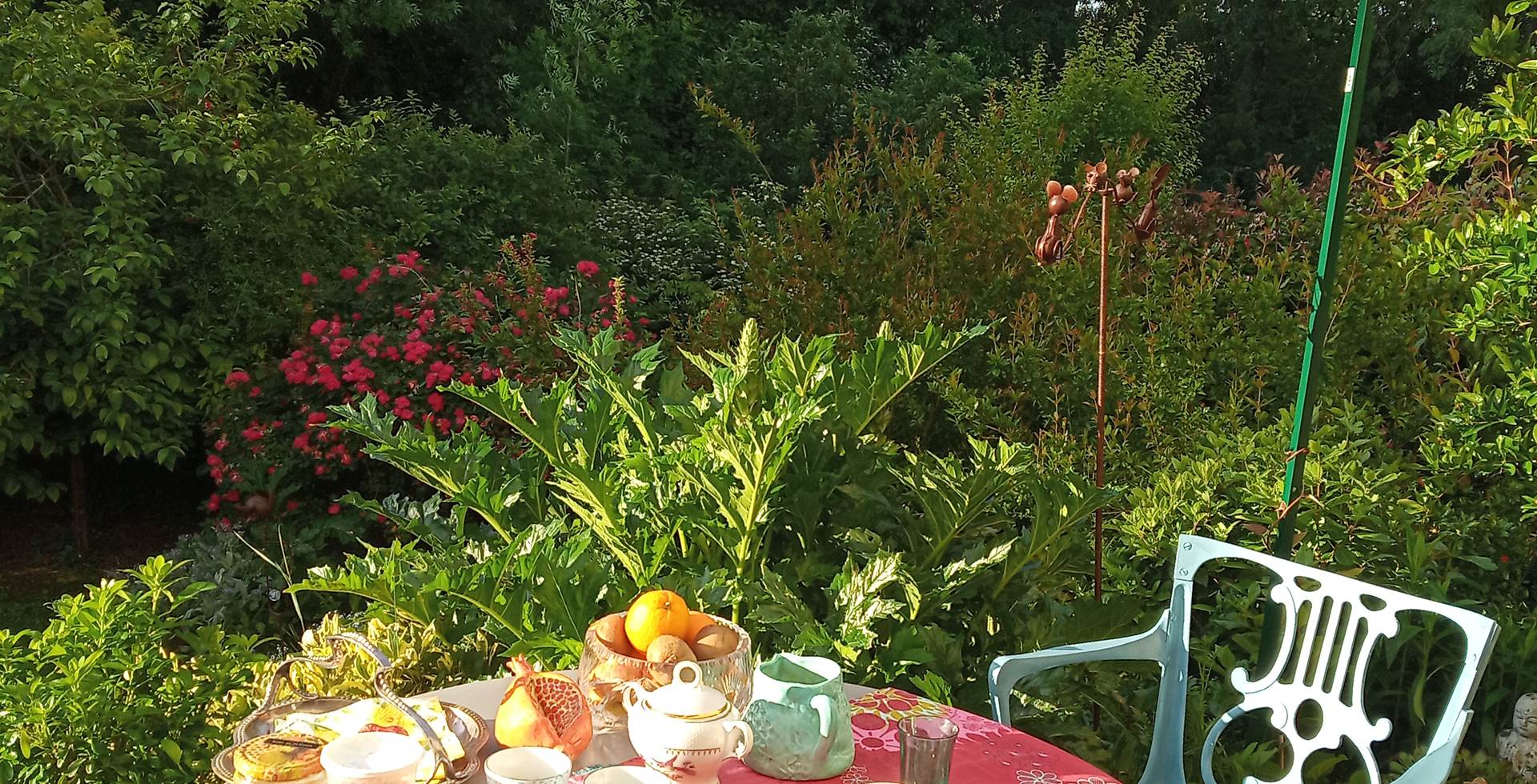 petit déjeuner sur terrasse côté jardin à la Grenade bleue
