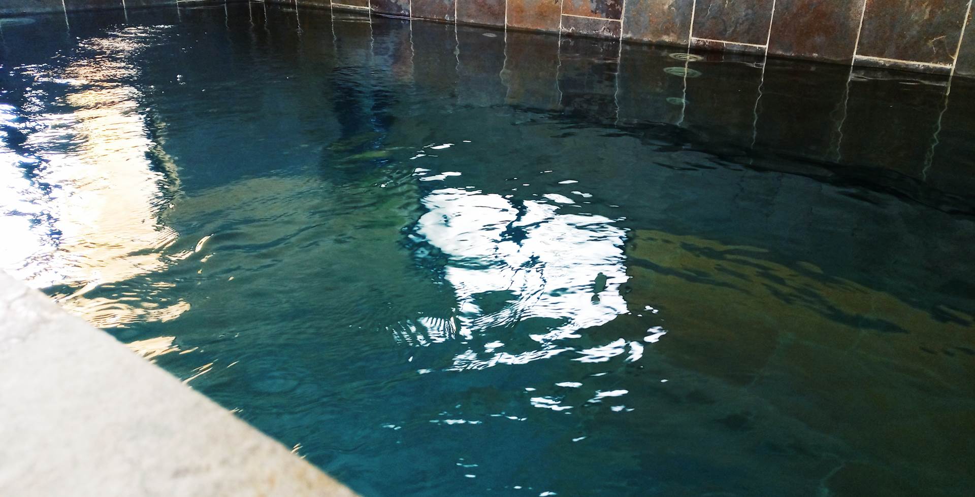 piscine de 8 mètres en pierre, eau salée, nage à contre courant, hydromassage, chauffée toute l'année sauna
