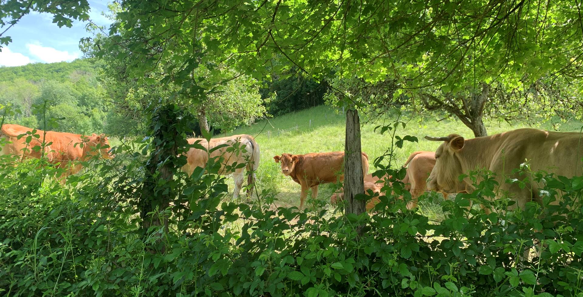 Paysage campagne Aveyron location