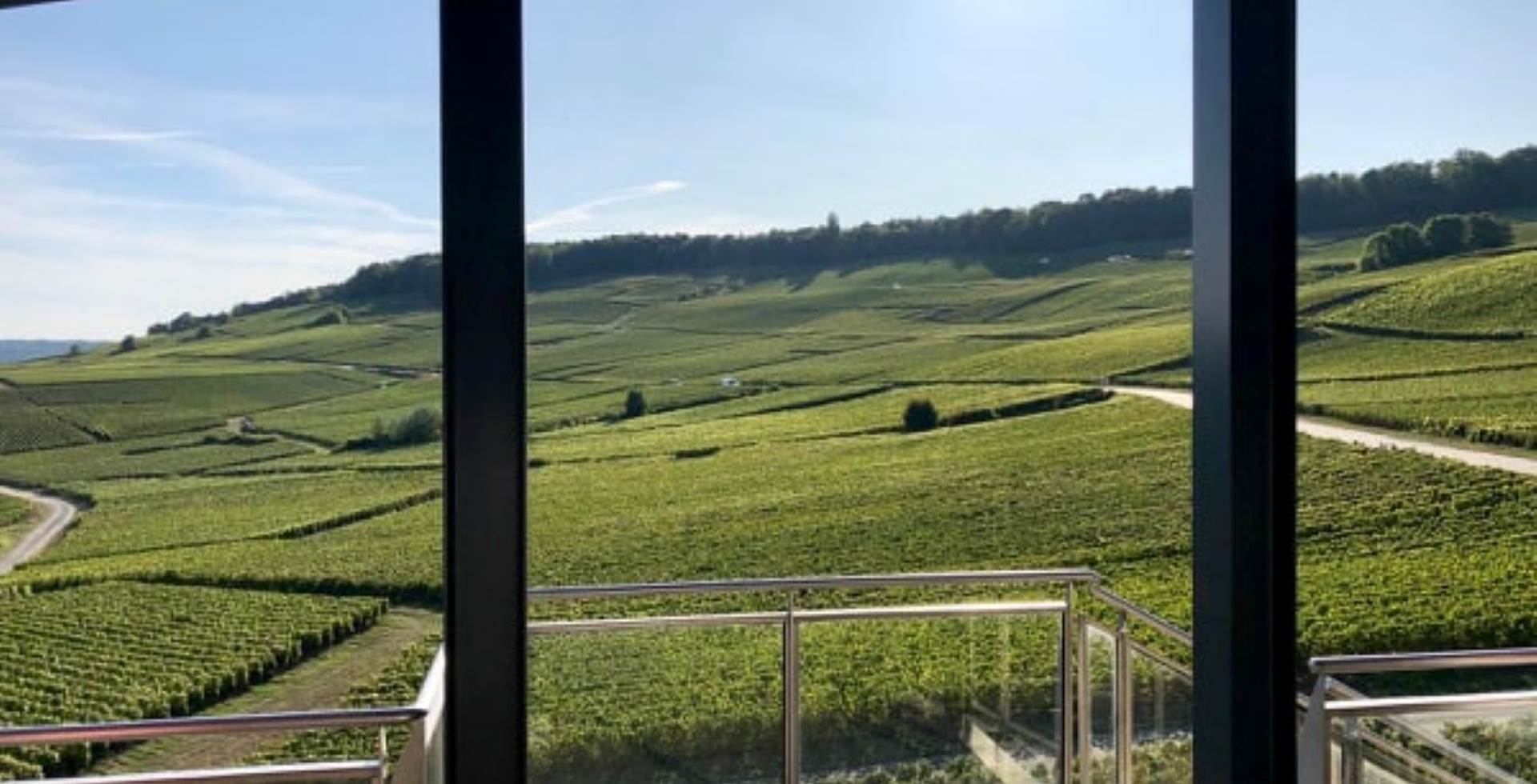 vue sur les vignes au champagne  ARNOULT