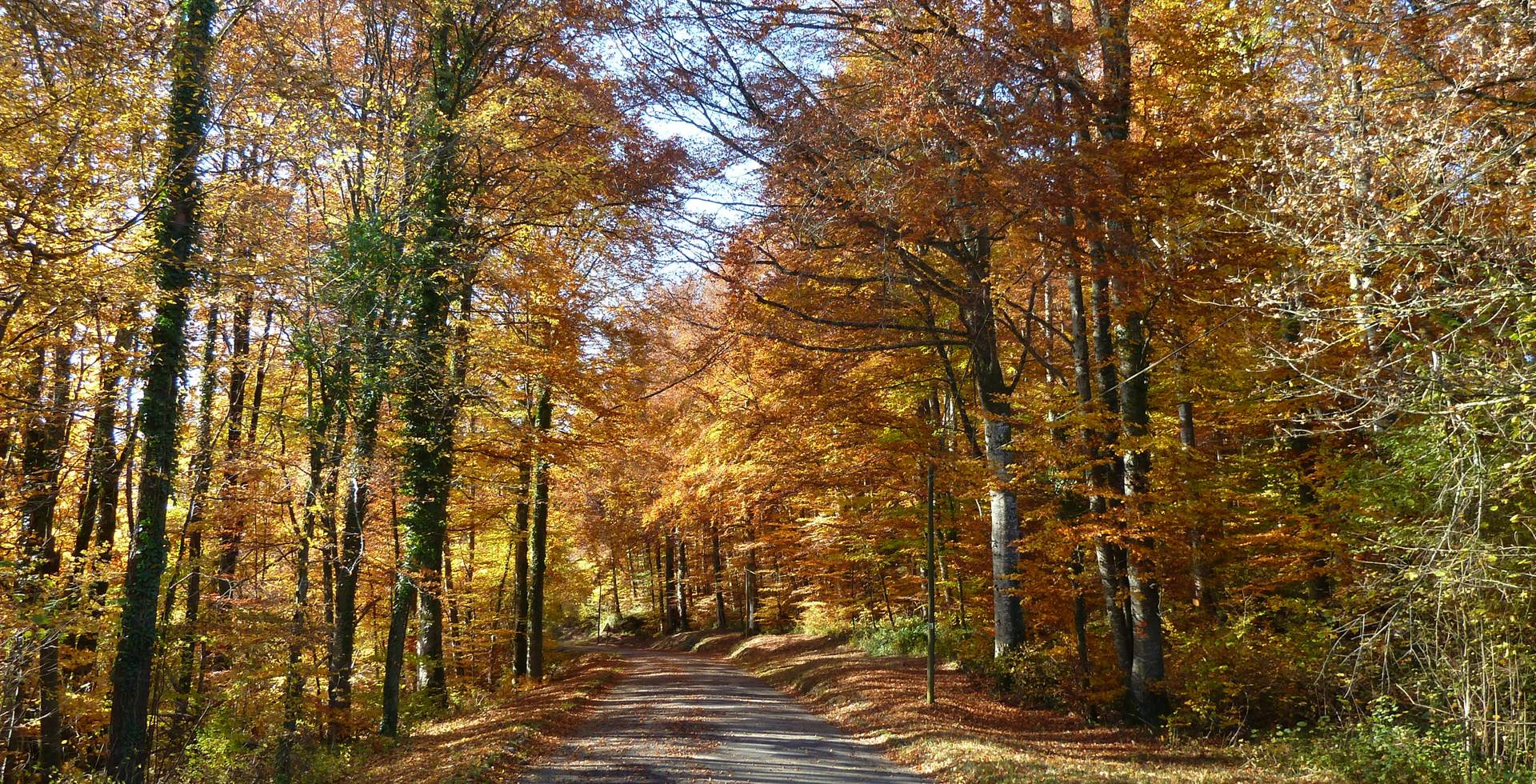 Le Relais des deux tours en automne décorée des ses couleurs flamboyantes