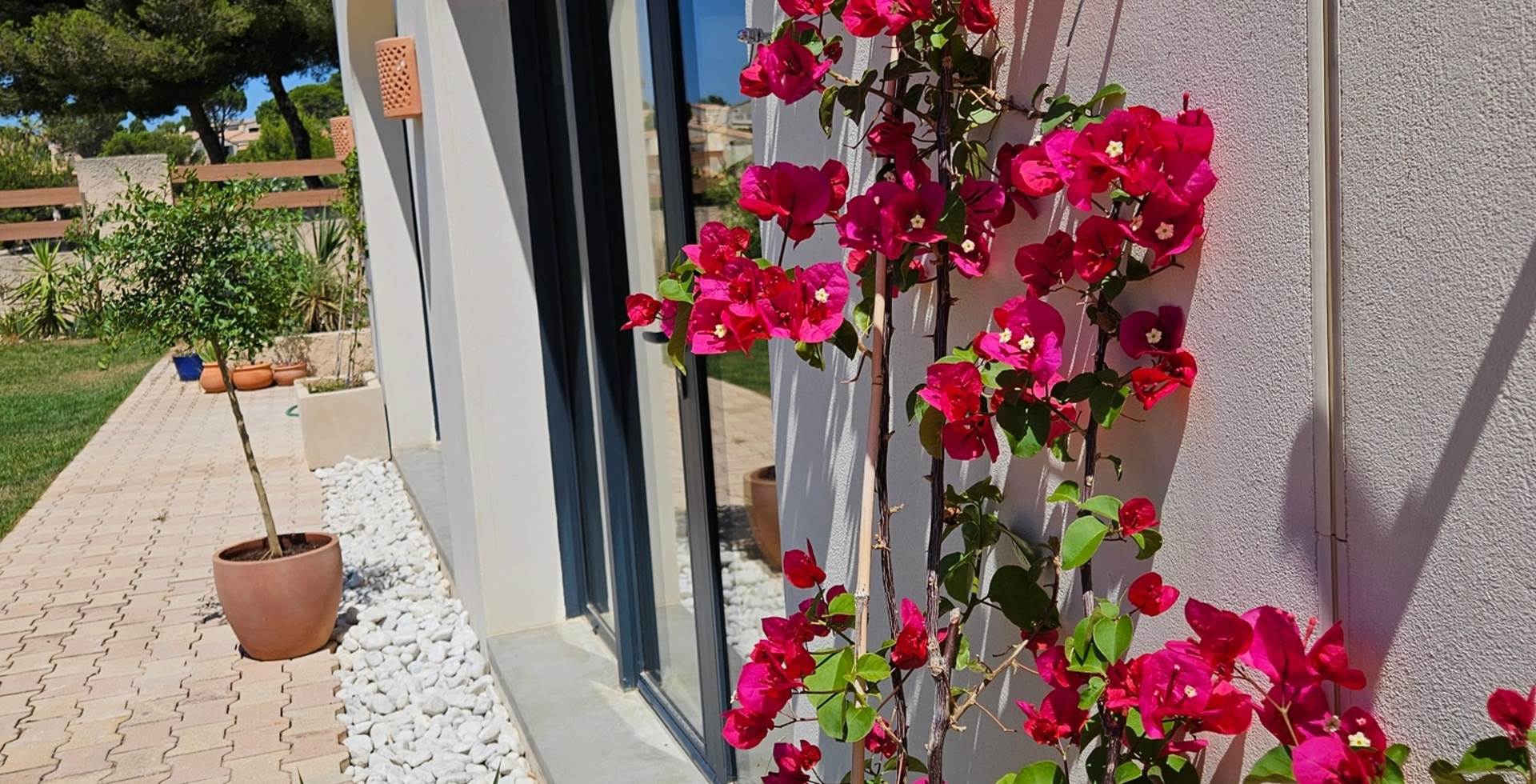 facade bougainvillier