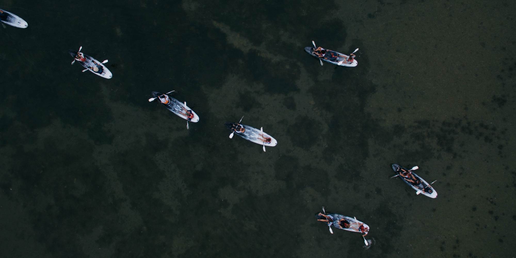 Balade en canoe - Ile de Ré