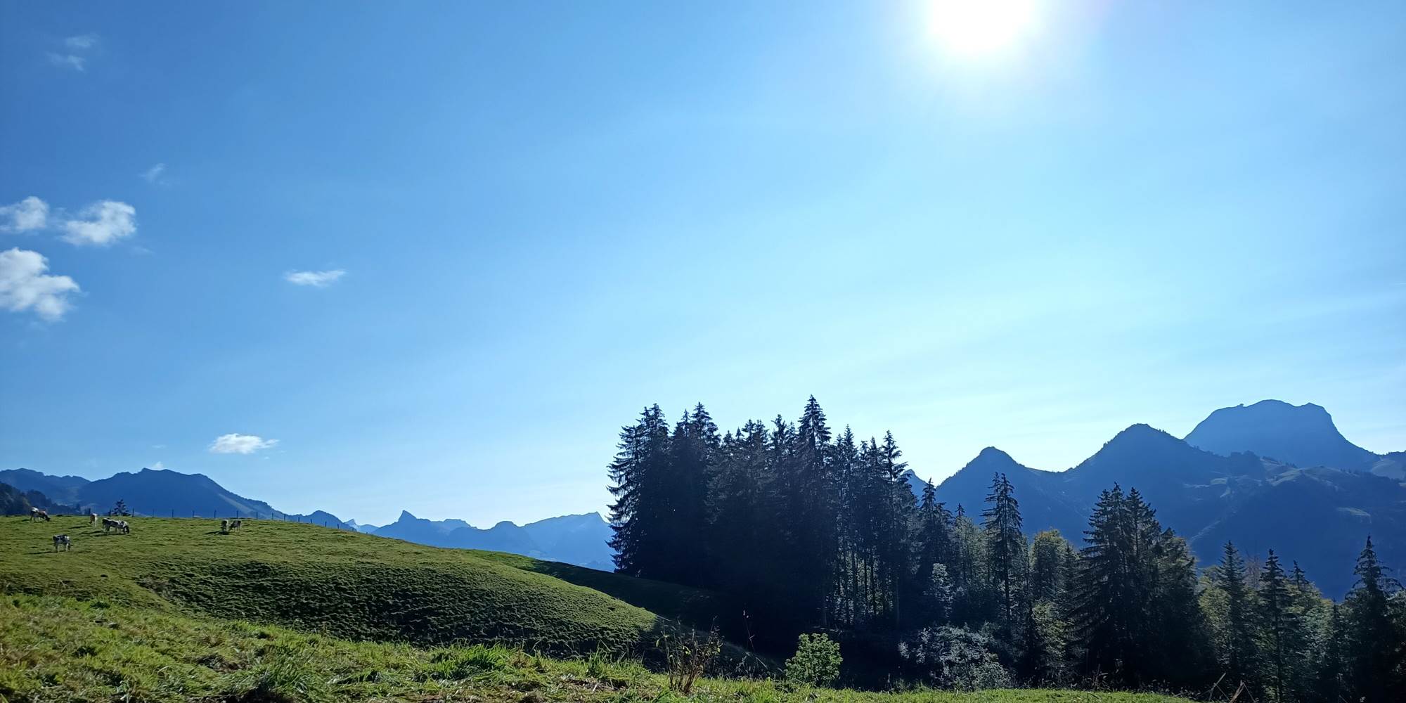 Randonnée au dessus du studio, vue sur le Moléson