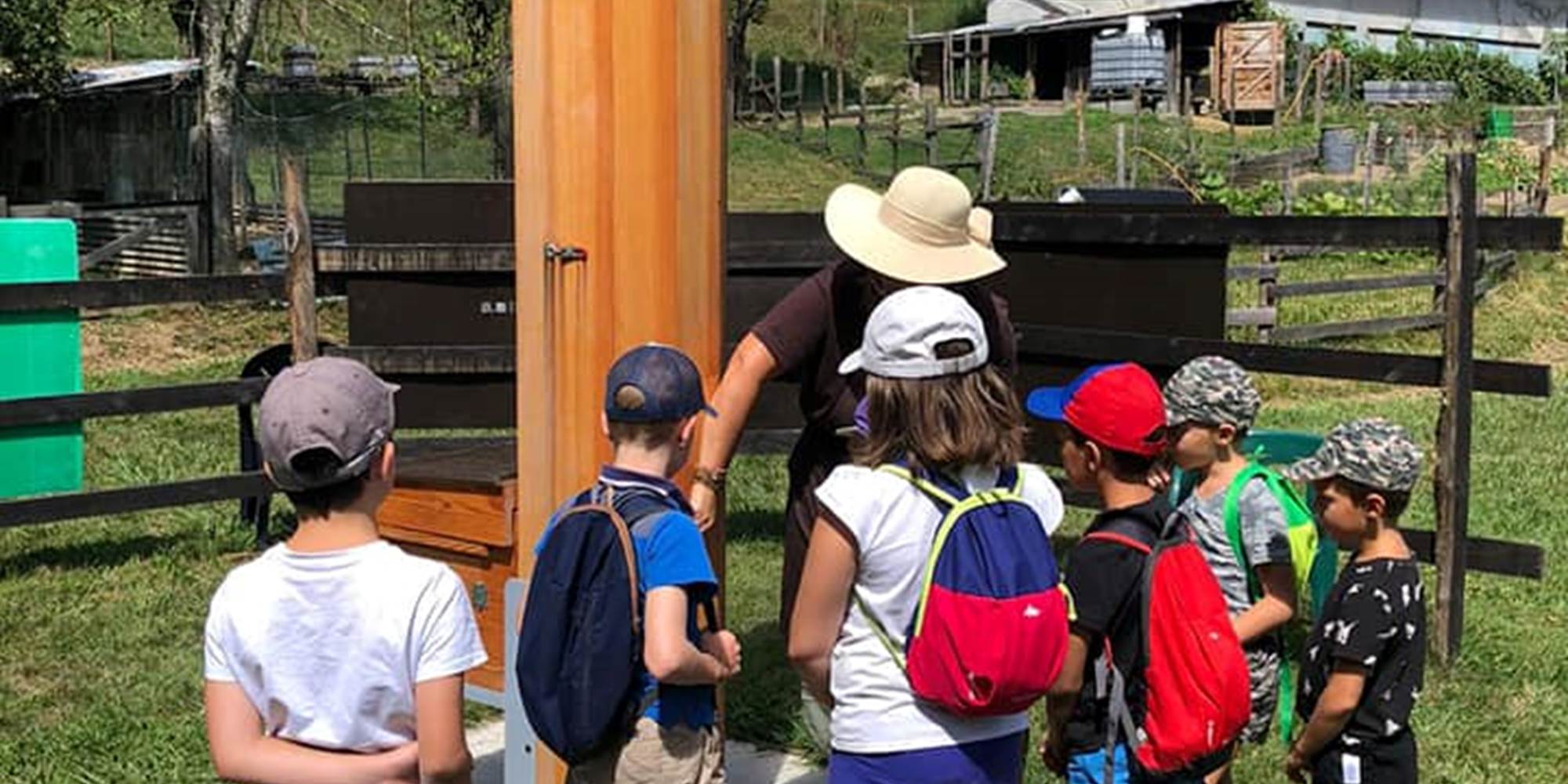 Découverte de la ferme - Les abeilles