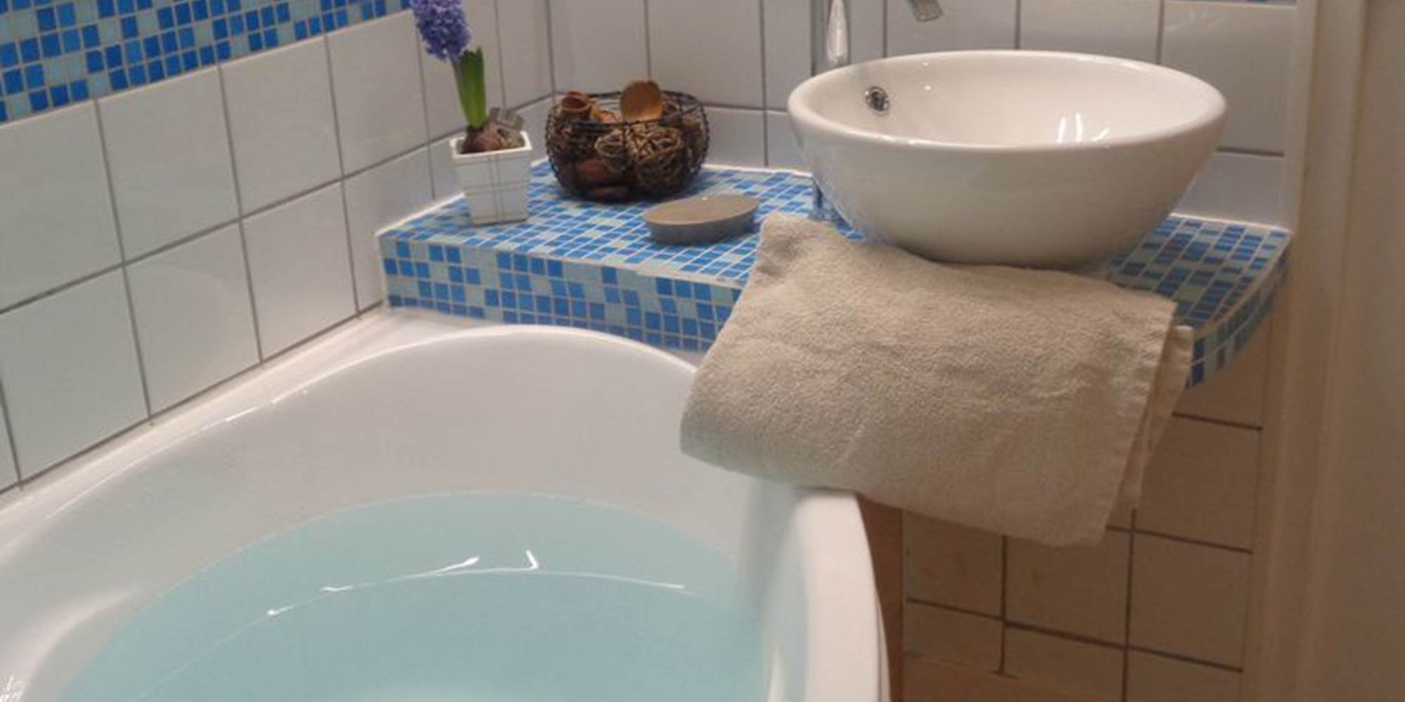 Chambre myosotis: salle de bain  avec baignoire