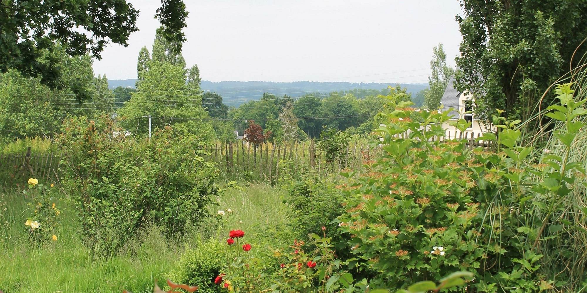 Vue-vallée-bretagne-masserac-camping-koantiz