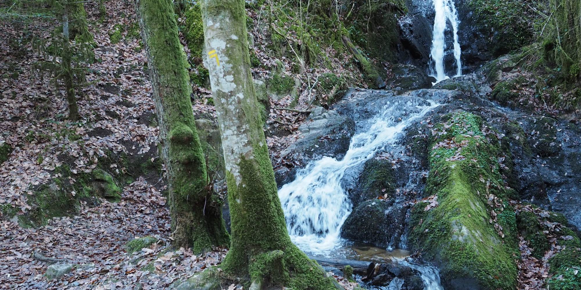 La Ballade des Cascadelles, en contre-bas du village de Gimel-les-Cascades, à 5 minutes de votre gîte.