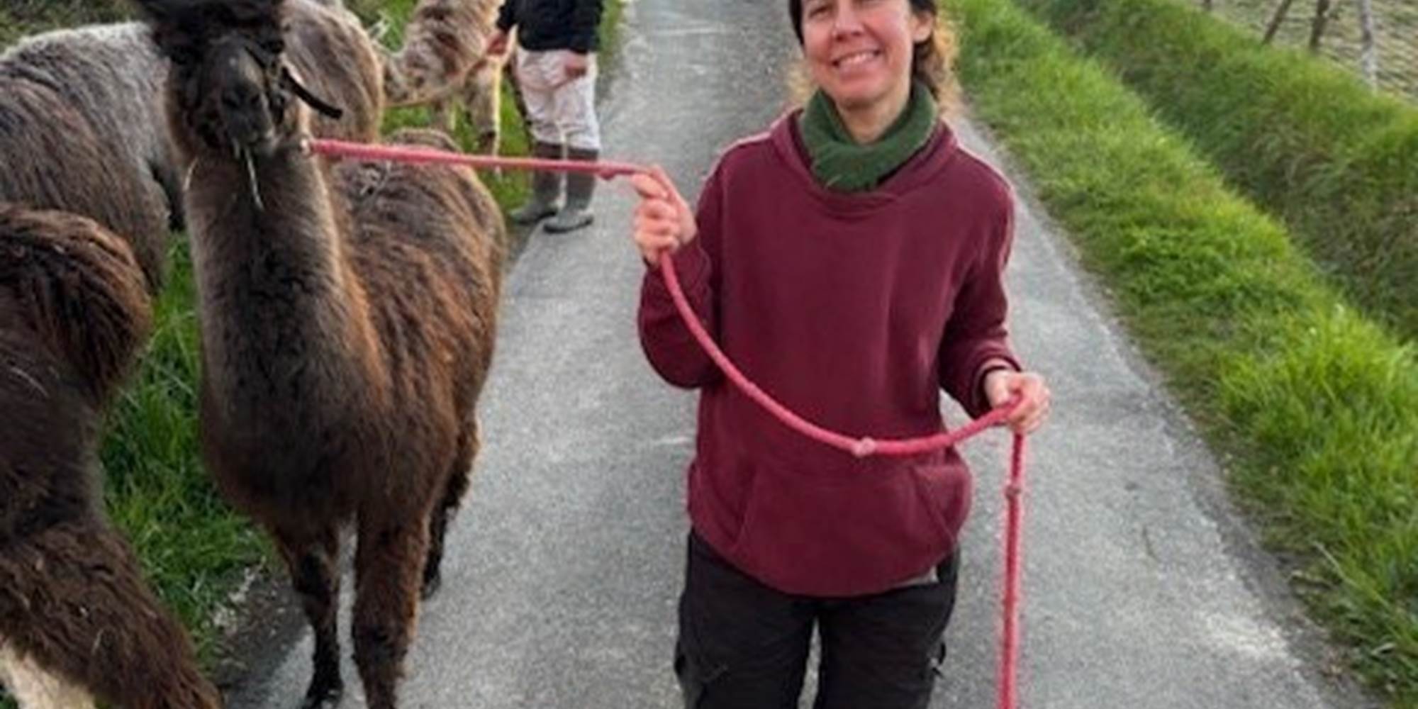 Prendre le temps de découvrir son lama ou alpaga