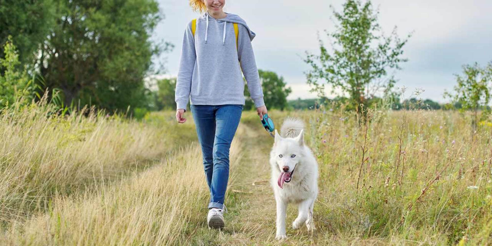 Promenade nature à Chimay