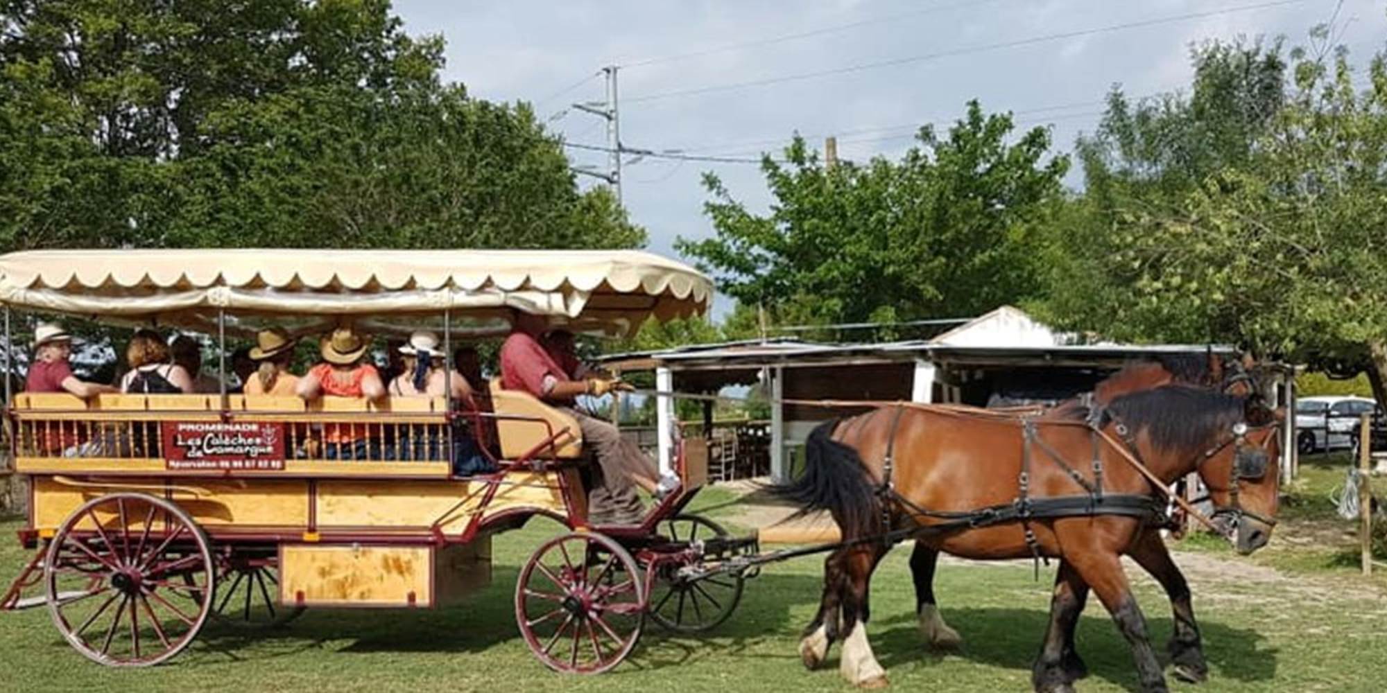 les Calèches de Camargue au Cailar