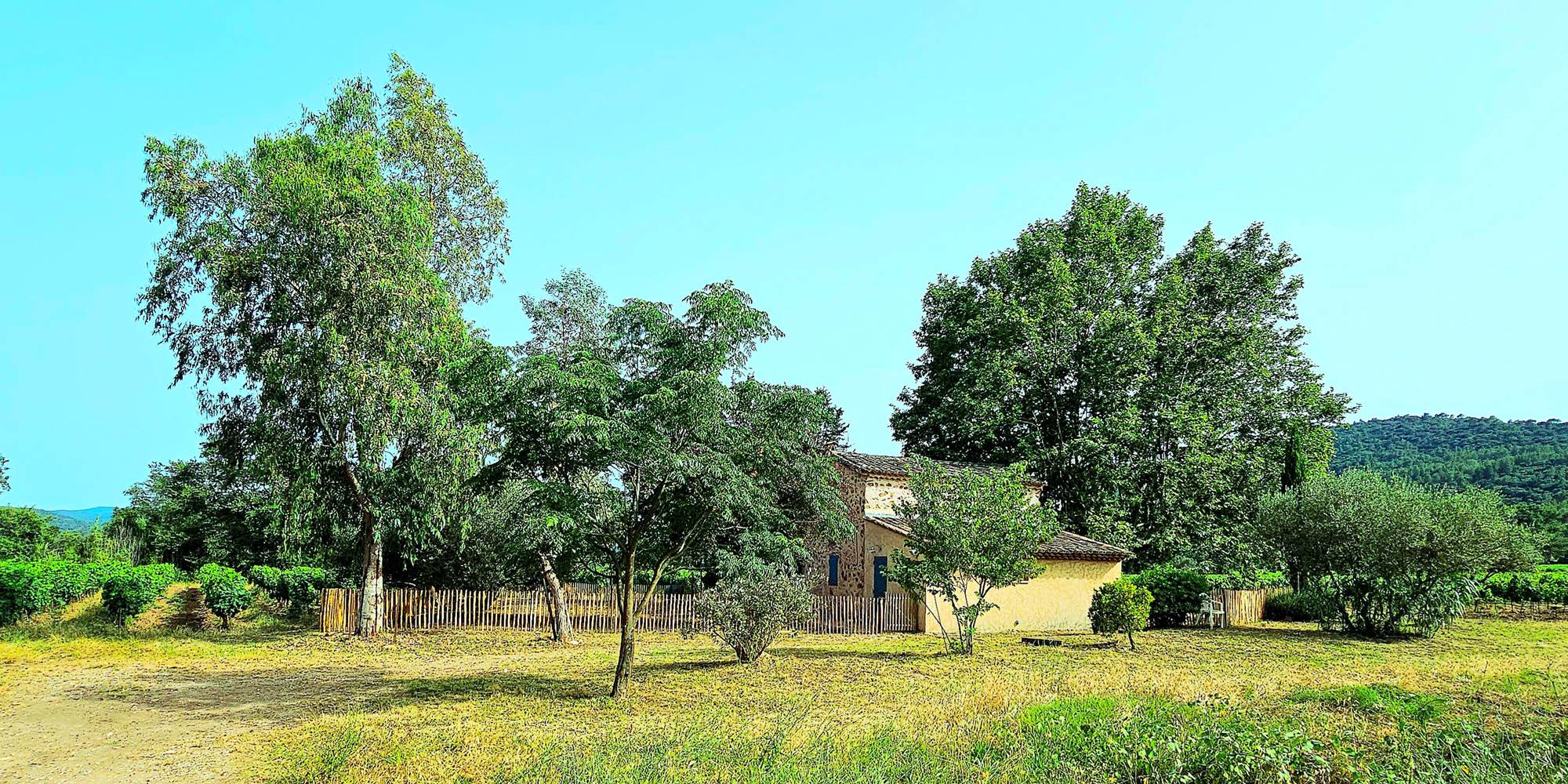 VIGNOBLE LE PLATANE
