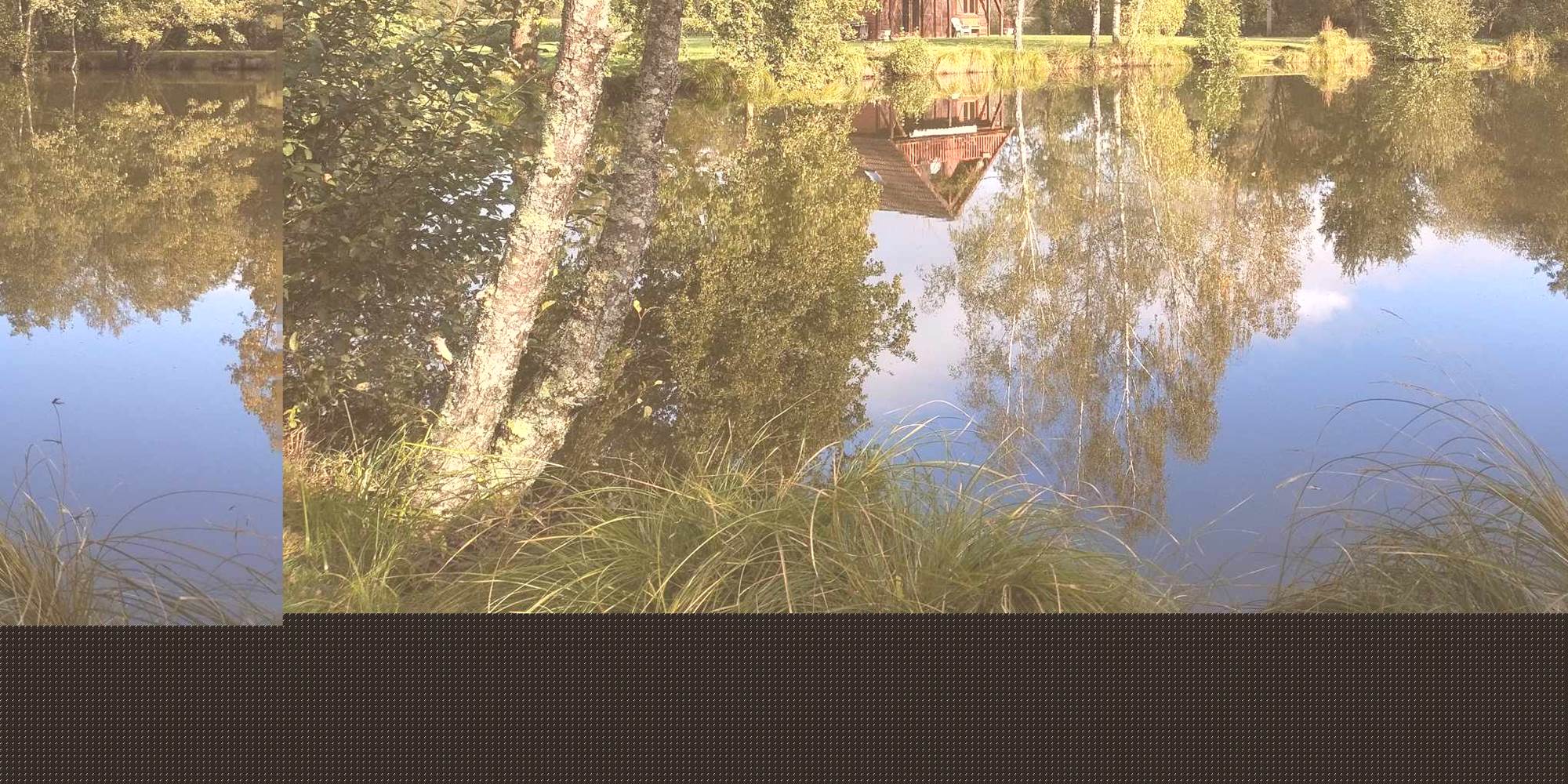 481939041_2034532347049240_6486442002937812123_n