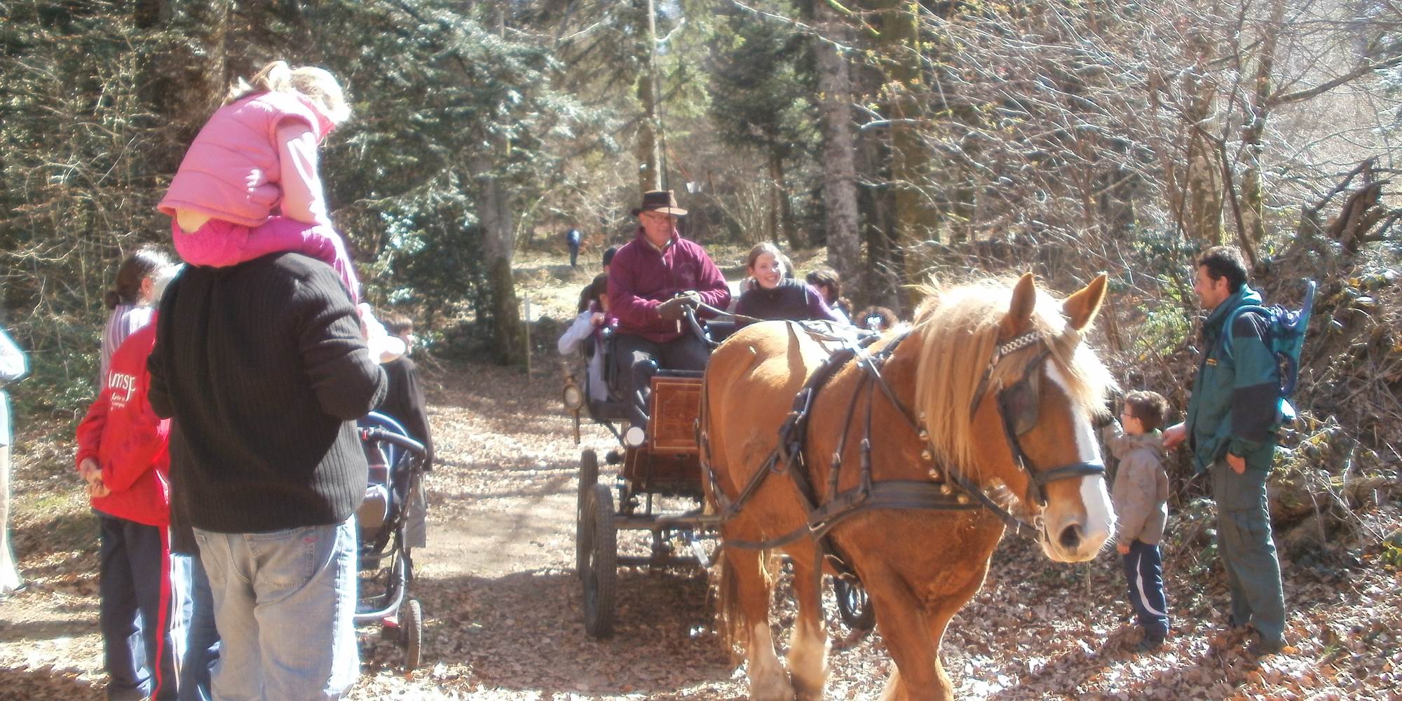 Départ en forêt
