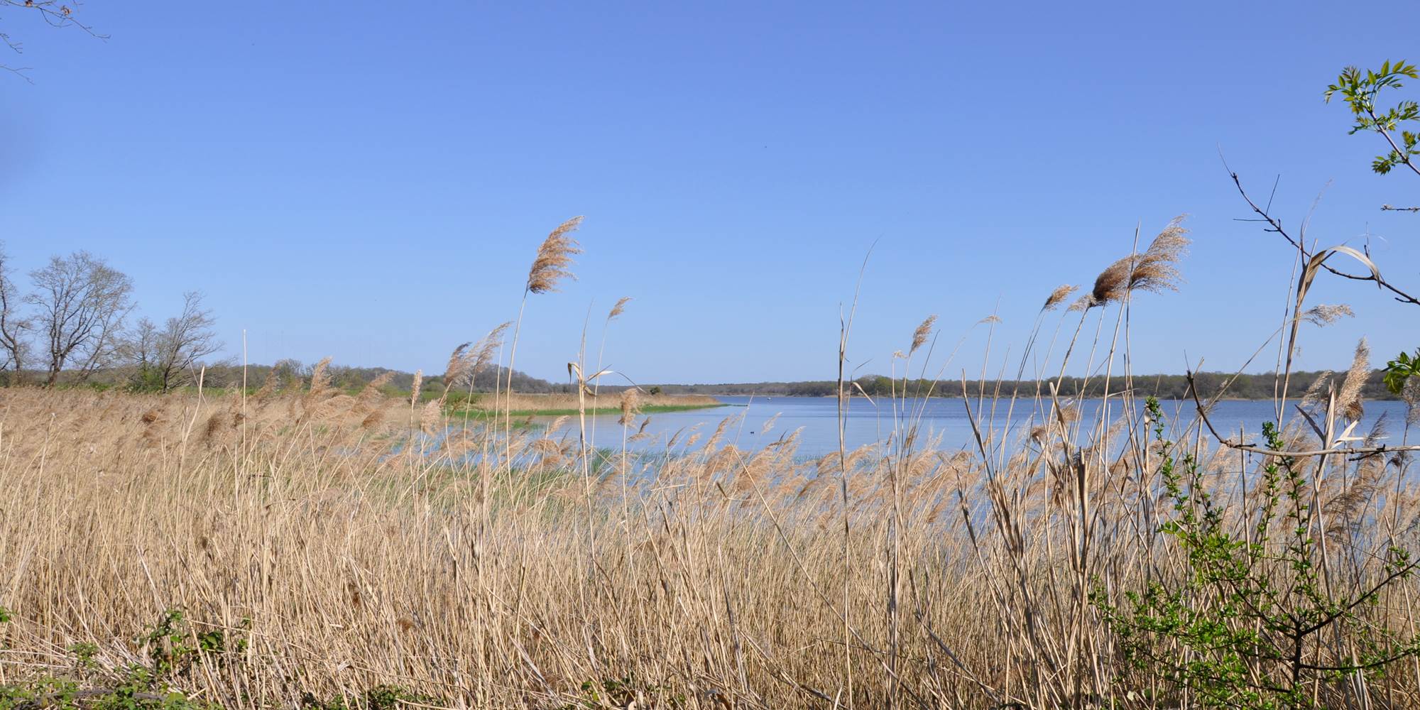 Etang de la Mer Rouge