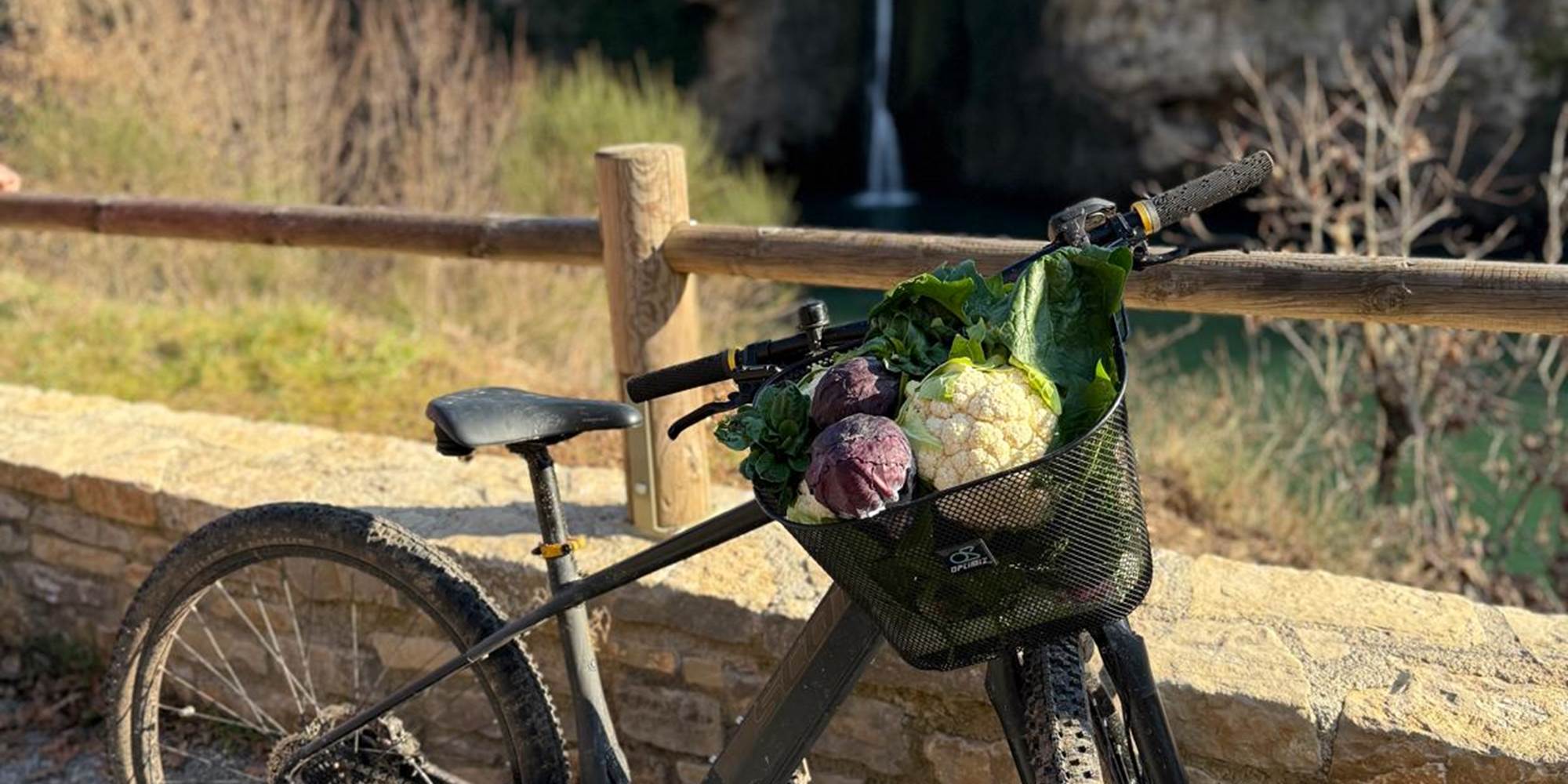 PHOTO-2025-02-26-20-41-54