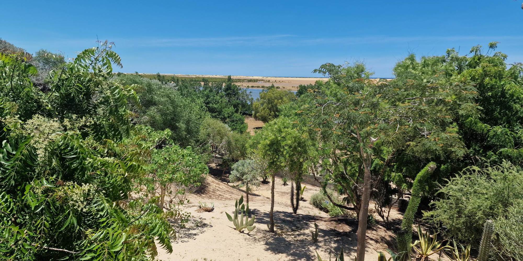 B4 vue extérieure - 3